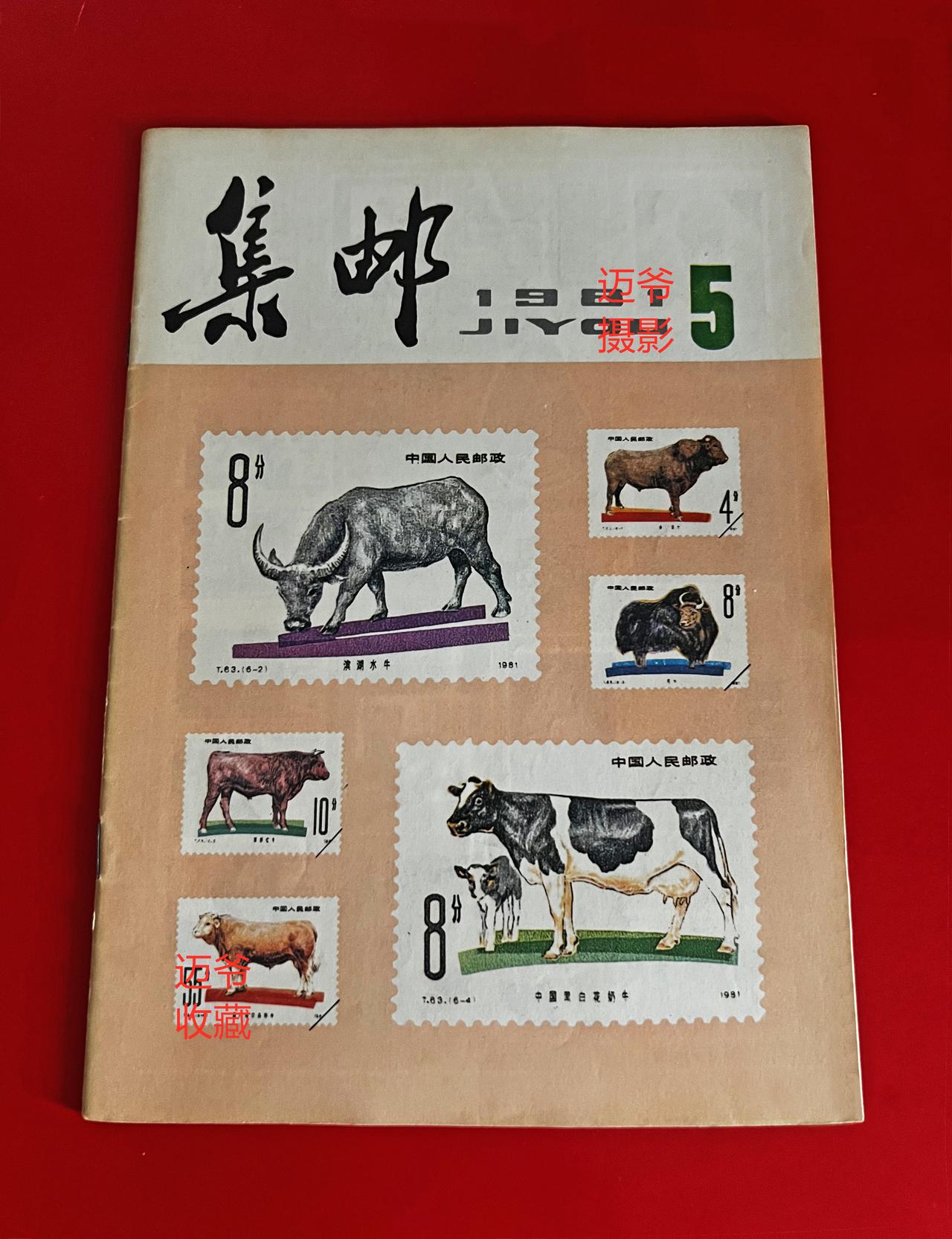 我收藏的集邮杂志~1981年第5期《集邮》【手机翻拍、个人收藏】
1981年第5