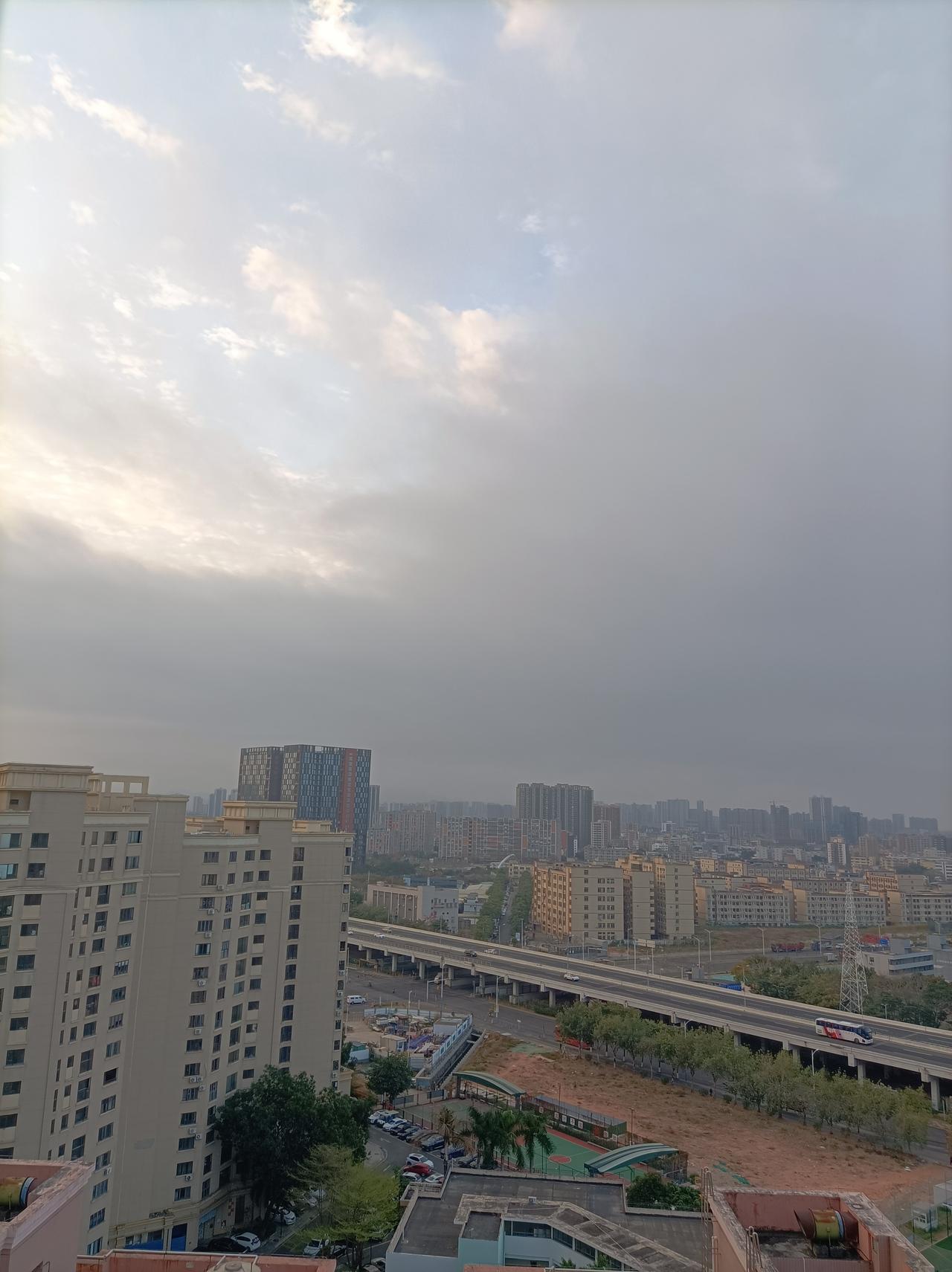 集卡领红包今天深圳要下雷阵雨，深圳已经是夏天了，每日的气温都在25度左右，许多花