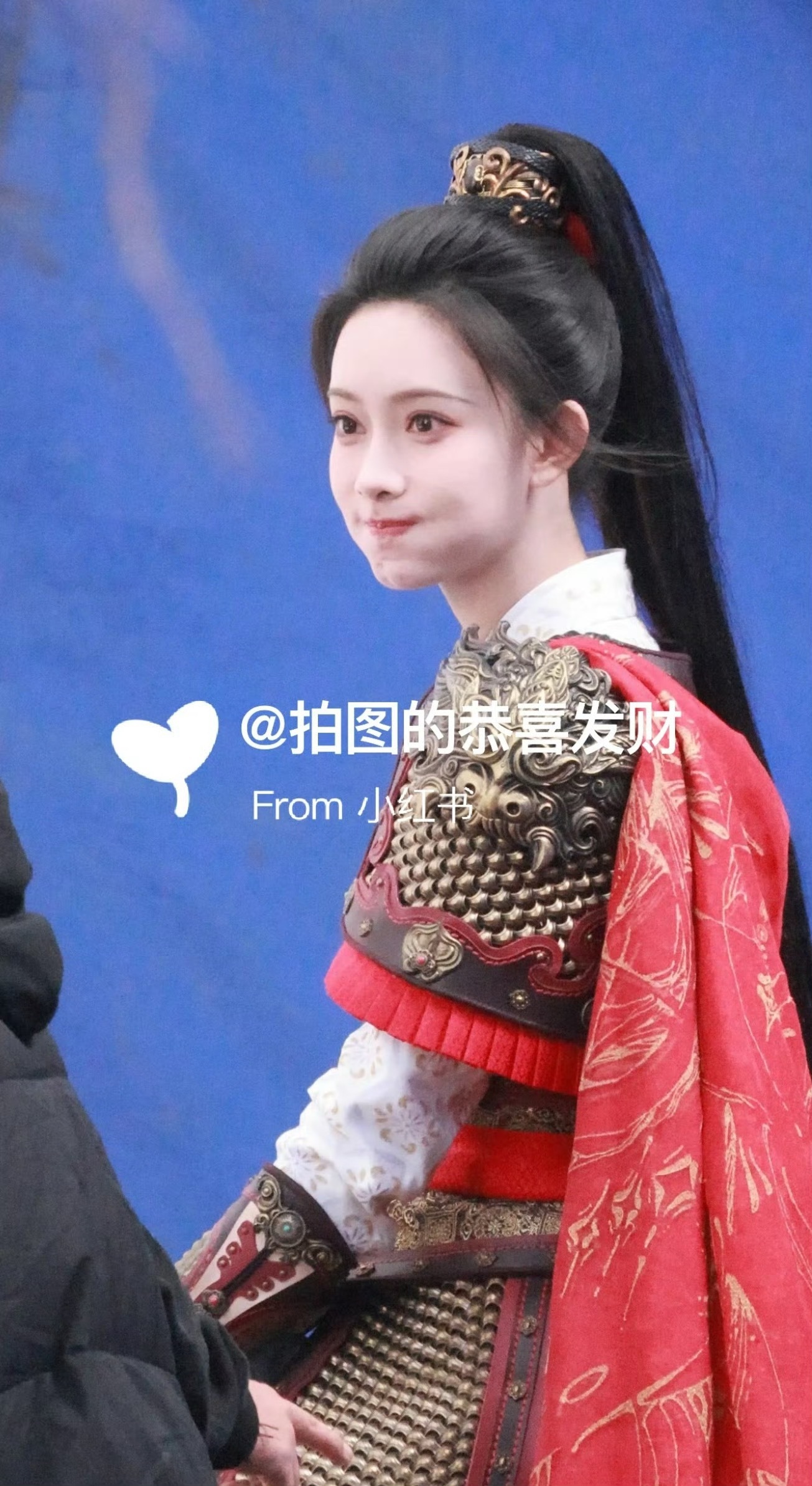 孟景行来娶我了 