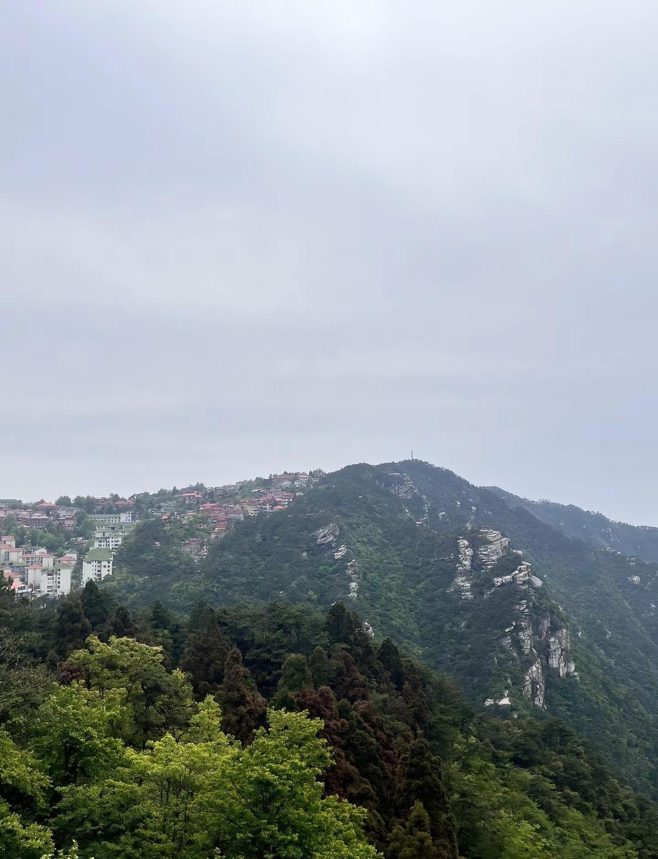 其实王鹤棣不是敏感肌，而是因为他的文化和生活经历和沈月不对等，他根本理解不了沈月