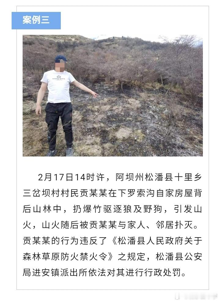 明明是可以敲洗脸盆驱狼的，却偏偏要扔爆竹驱狼。 ​​​
