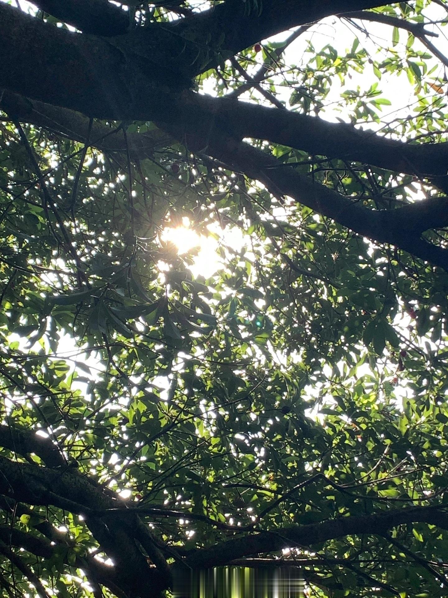 𝗣𝗹𝗼𝗴Ⅰ可乐小记🥤把烦心事丢掉腾出位置给阳光☀️ ​​​