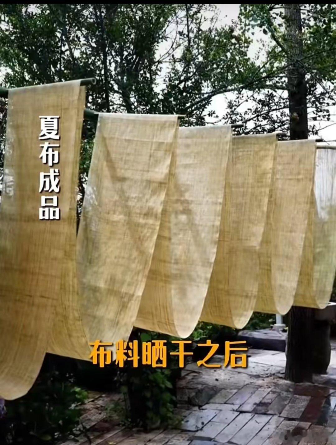《地瓜叶》刚拿起一把地瓜叶又想起小时候小时候家里穷阿地瓜叶那时候都是被扔掉的只有