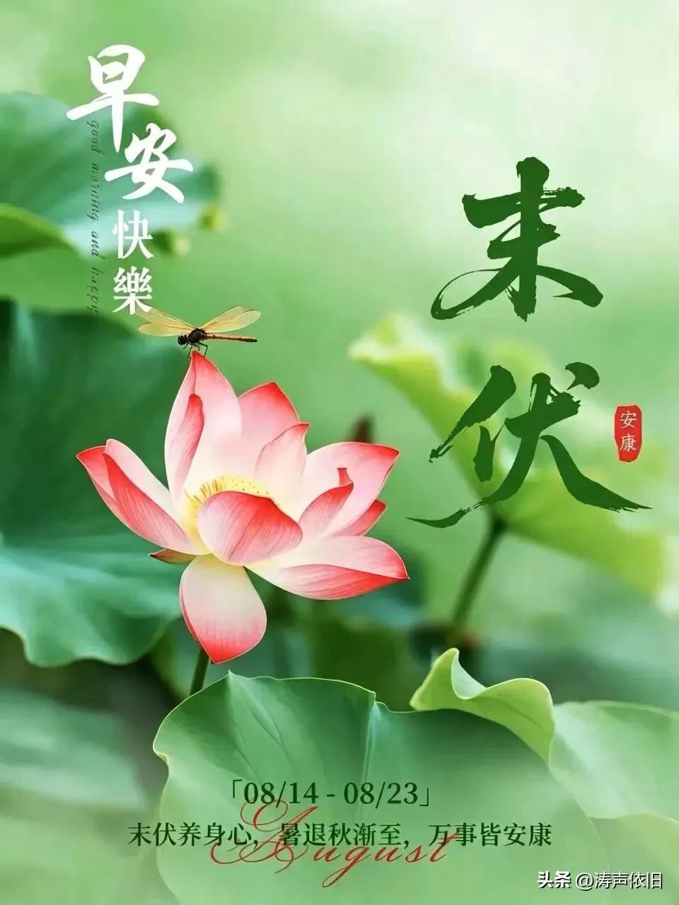 《如梦令·末伏寄福》

恰值今朝末伏，
伏敛福来相续。
暑尽纳清宁，
岁岁安康常