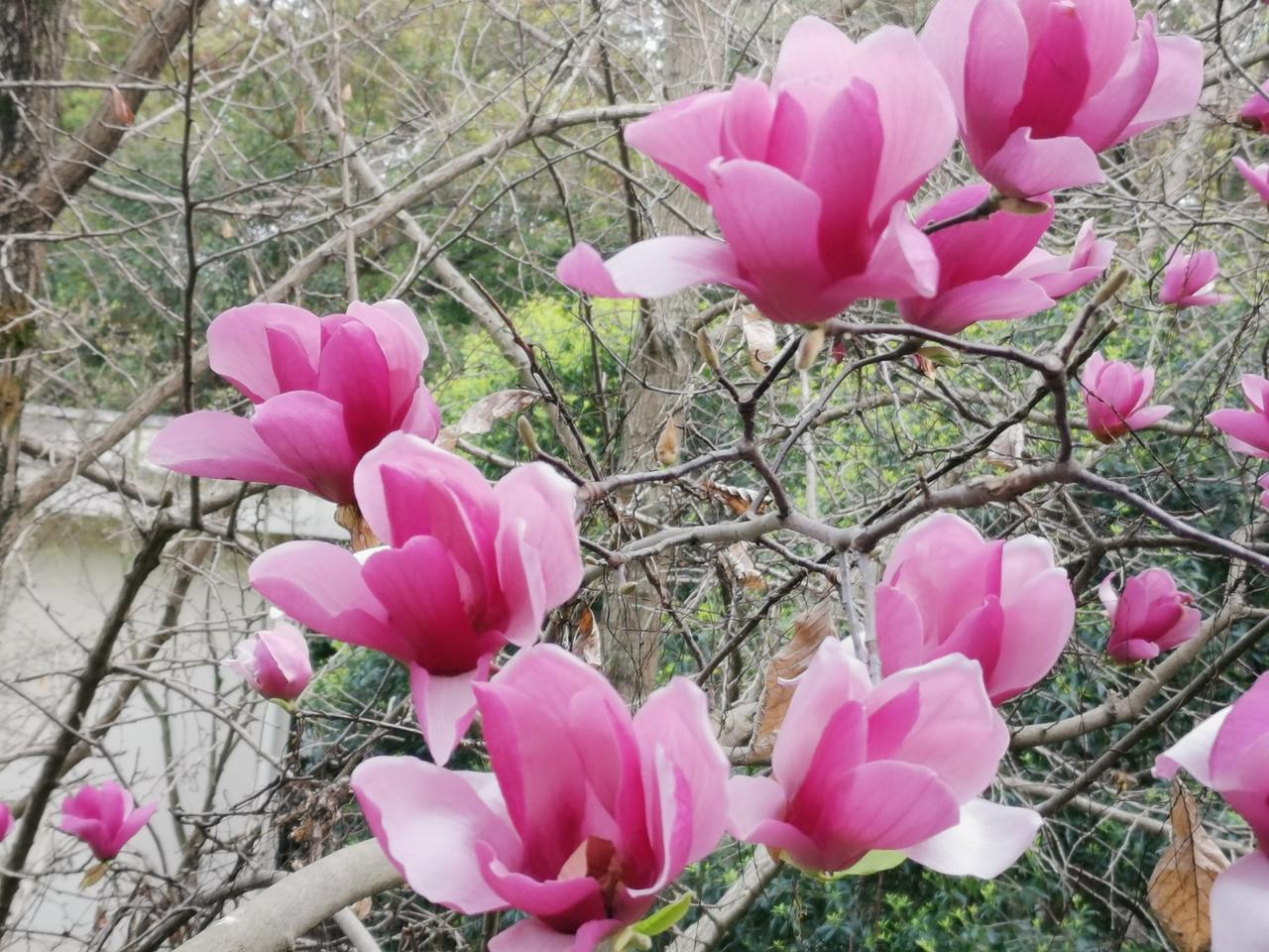 虚构的穆桂英，实则映照出懦弱的大宋。那时的大宋太过孱弱、怯懦，以至于后世汉人凭空