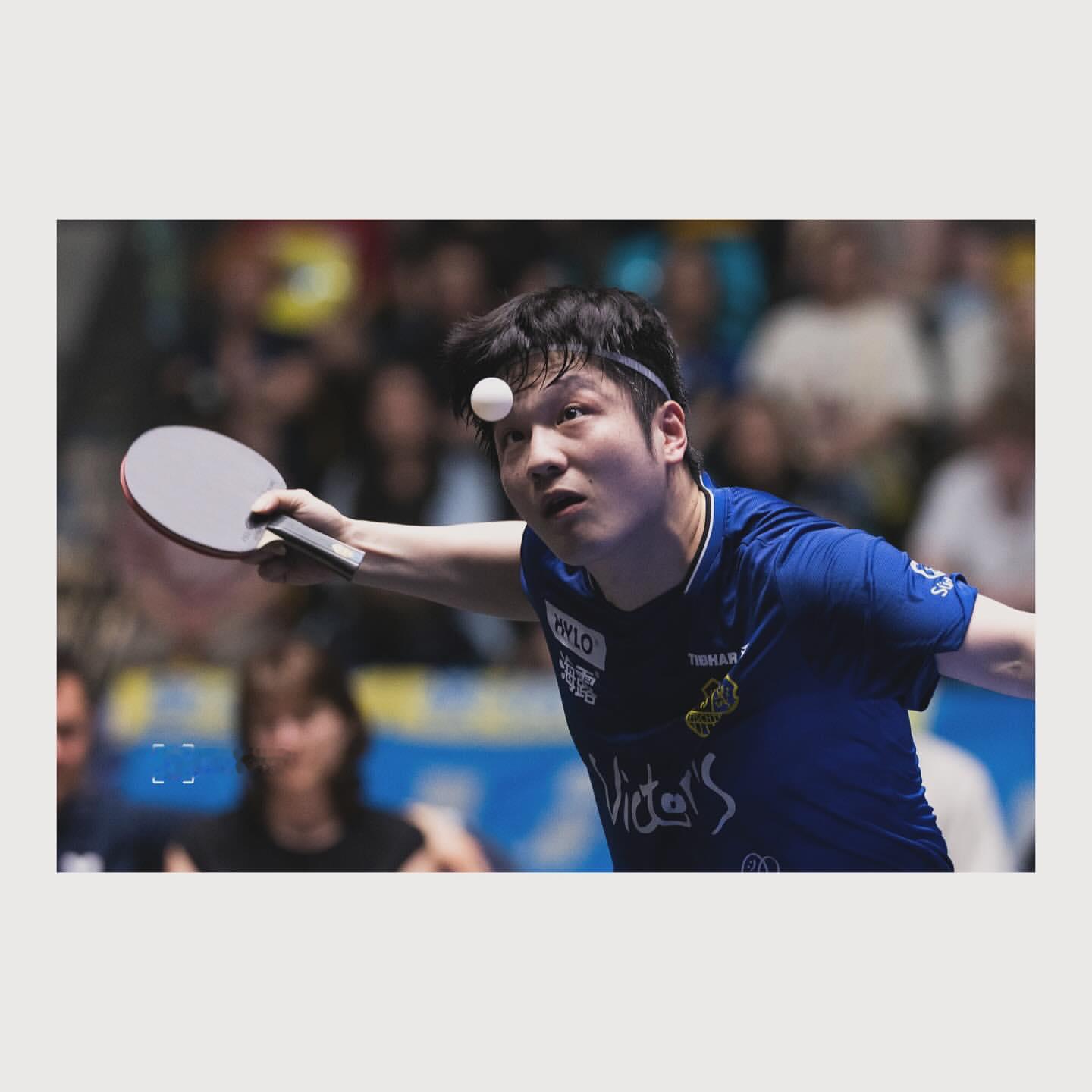 樊振东🏓2025-2026德甲联赛🏆樊振东德甲夺冠 【20260530】【图