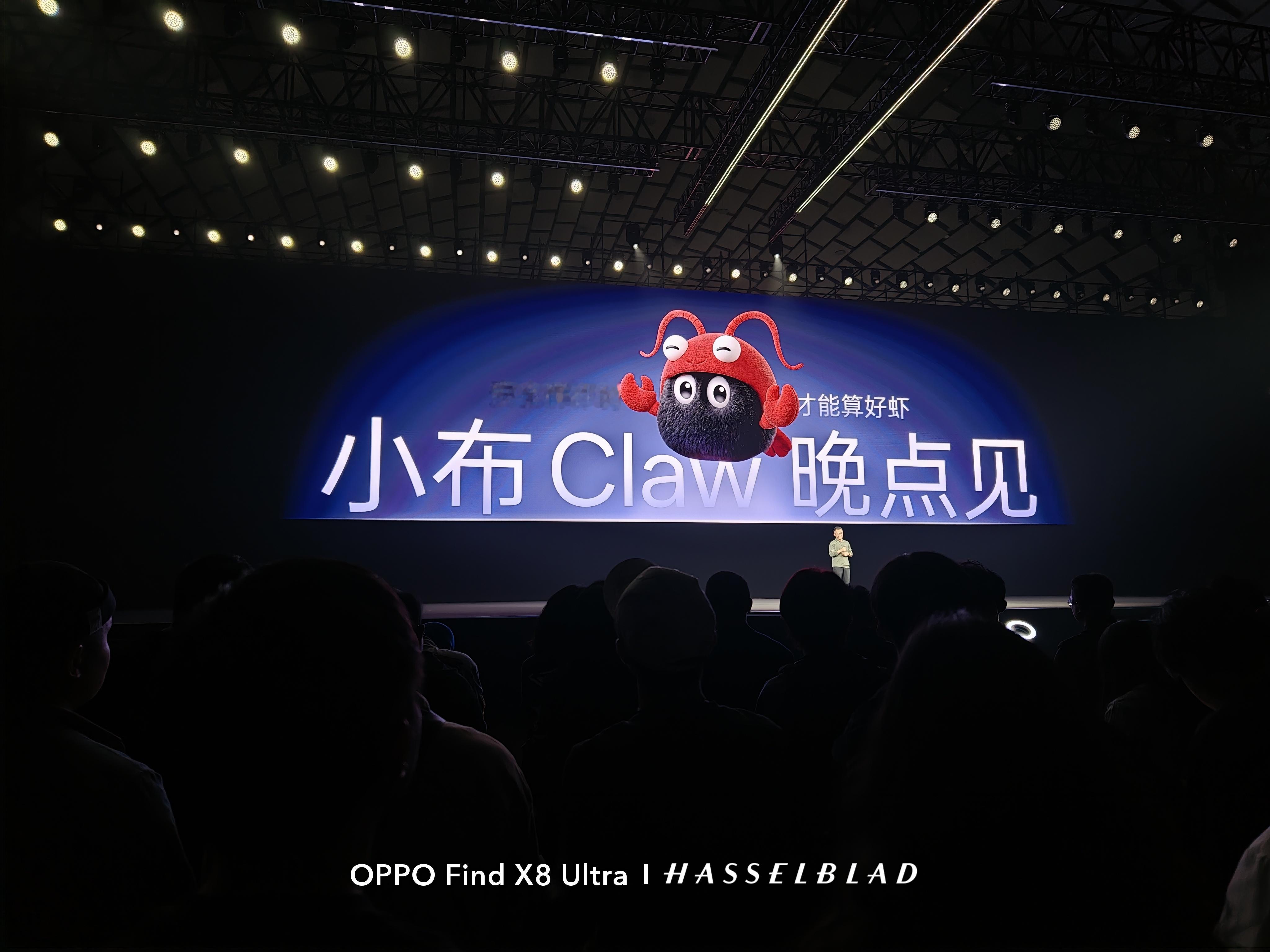 小布虾🦐也快来了