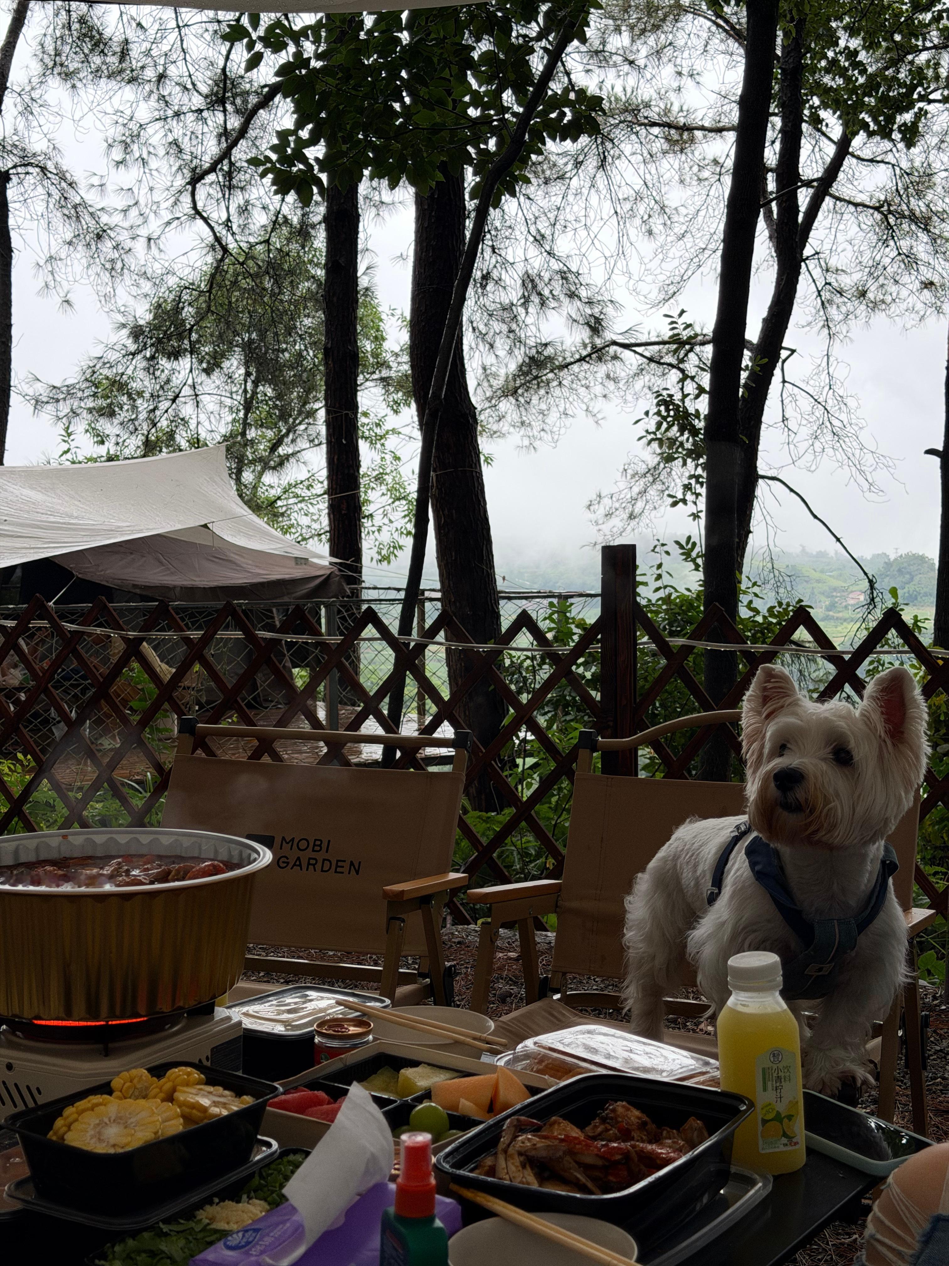 露营日 吃火锅看云海我的日常plog ​​​