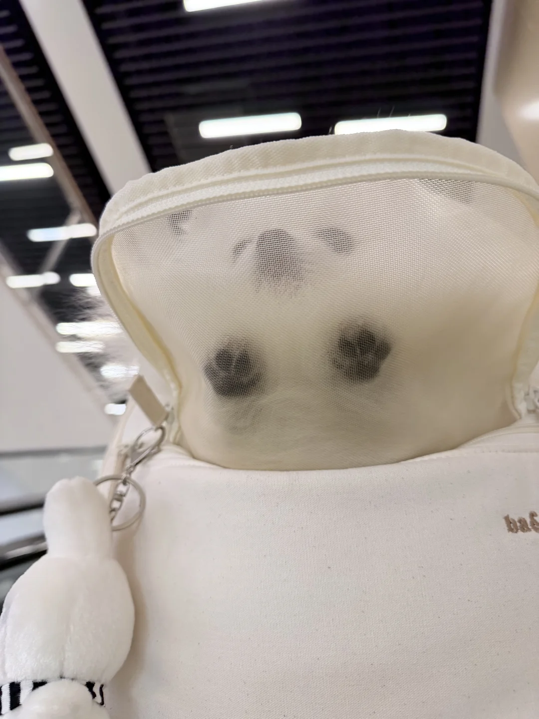 坐扶手梯抬头的一瞬间…