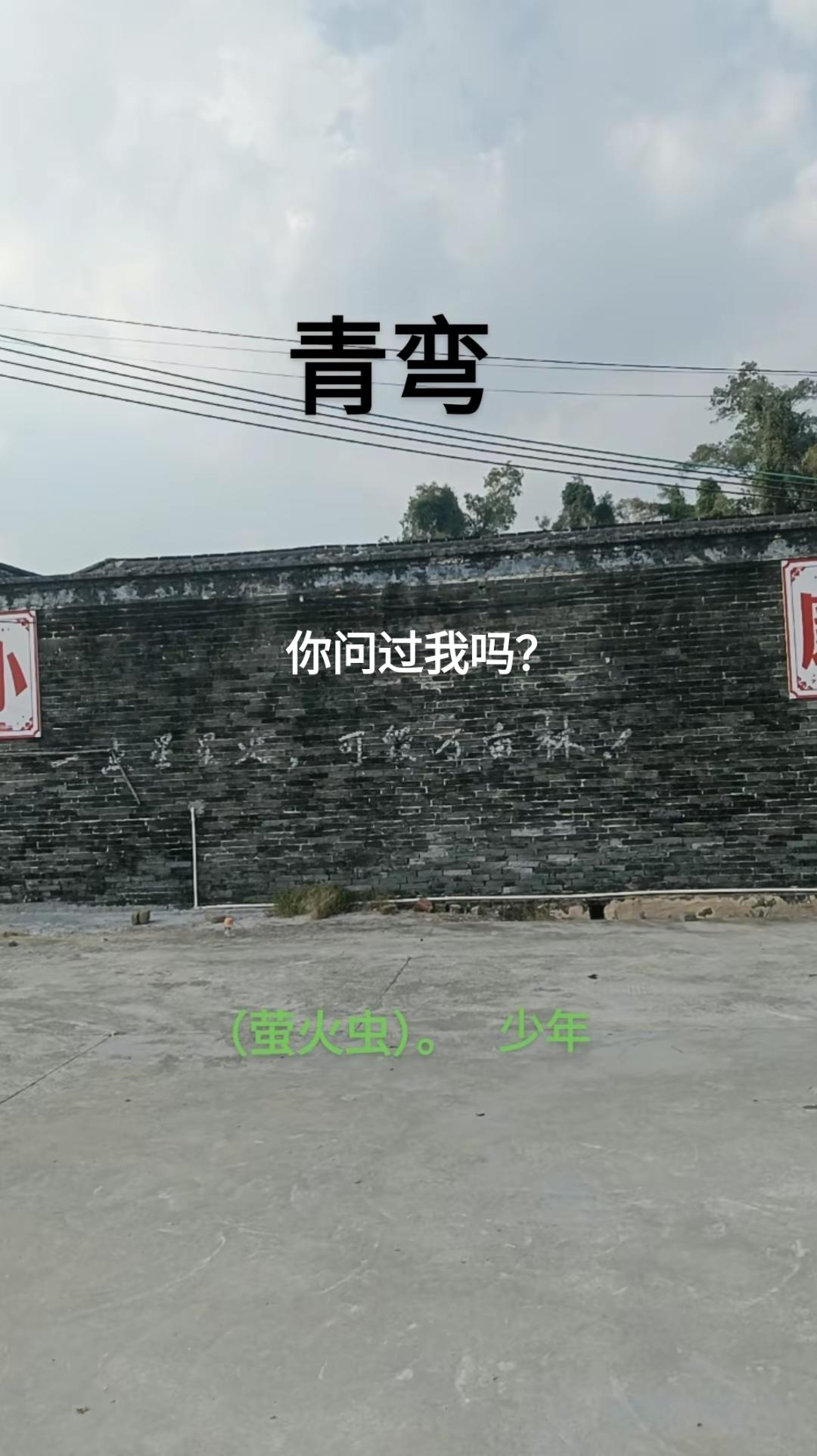 冲！杀！大网红，我当定了