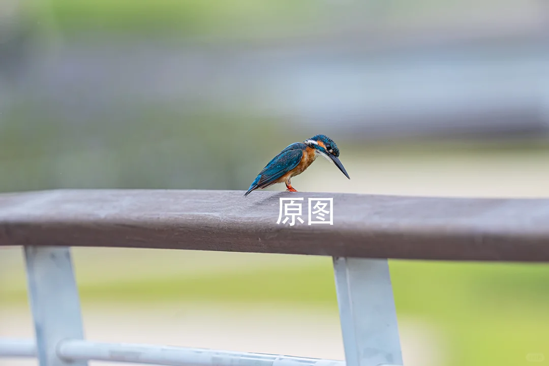 专注