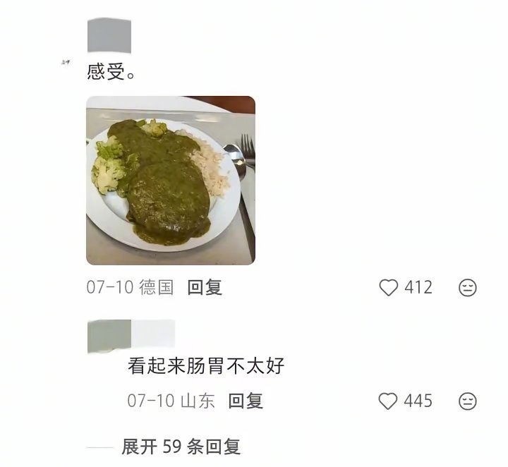 我都有点同情德国留学生了，毕业难度大也就罢了，吃的还这么差。 ​​​