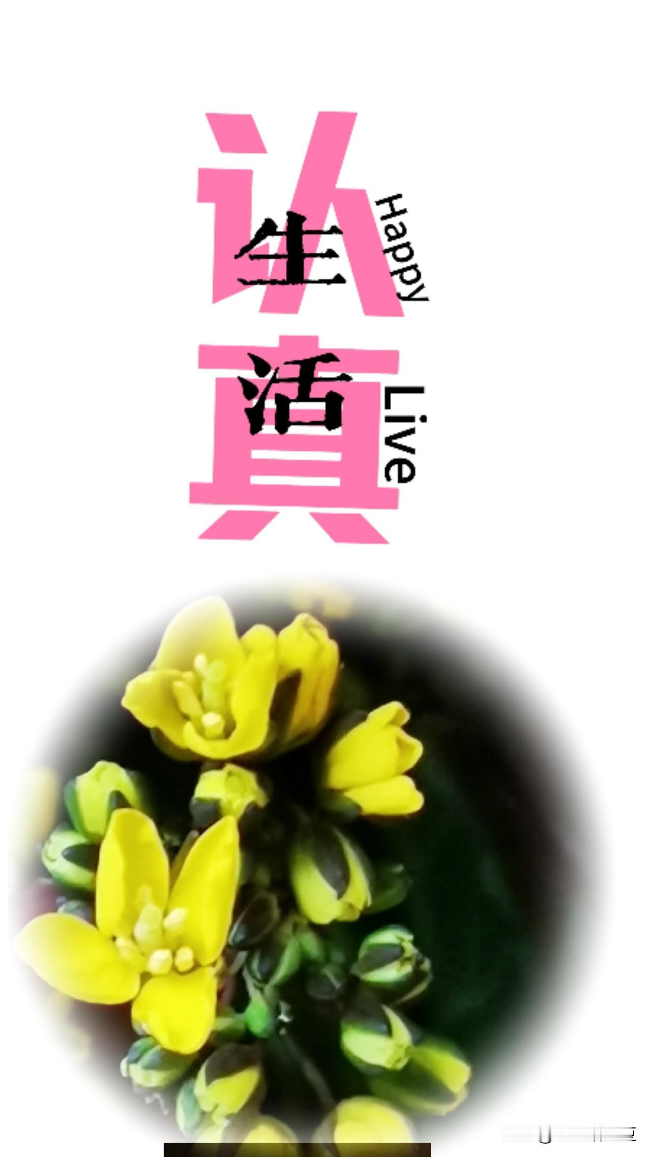 描写春天美好景色的四字成语还是有很多很多的，比如
春暖花开、春光明媚、草长莺飞、