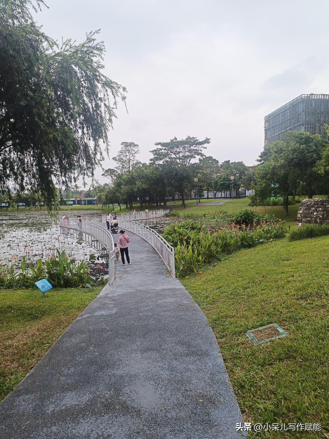 在公园这小路上走走，看大家遛娃、散步，突然觉得人生就像这路，有直有弯。平时忙得脚