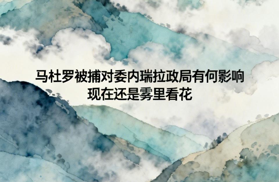 马杜罗被捕后，委内瑞拉政局确实如雾里看花。目前有副总统、国防部长、内政部长三人发
