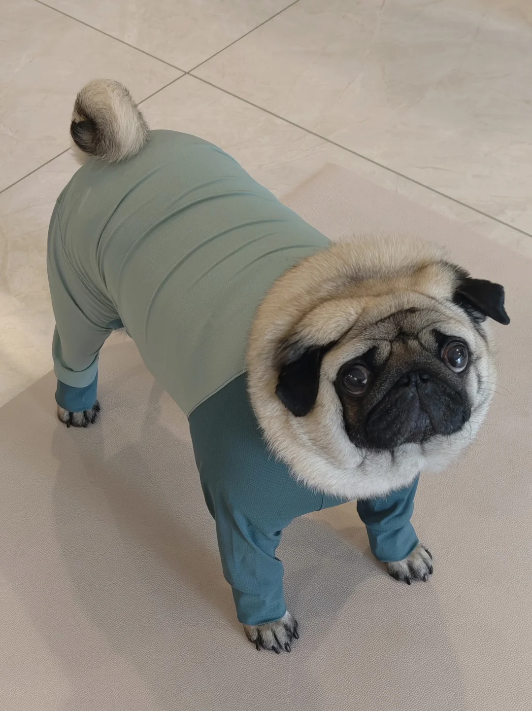 这就是传说中的模特身材吧