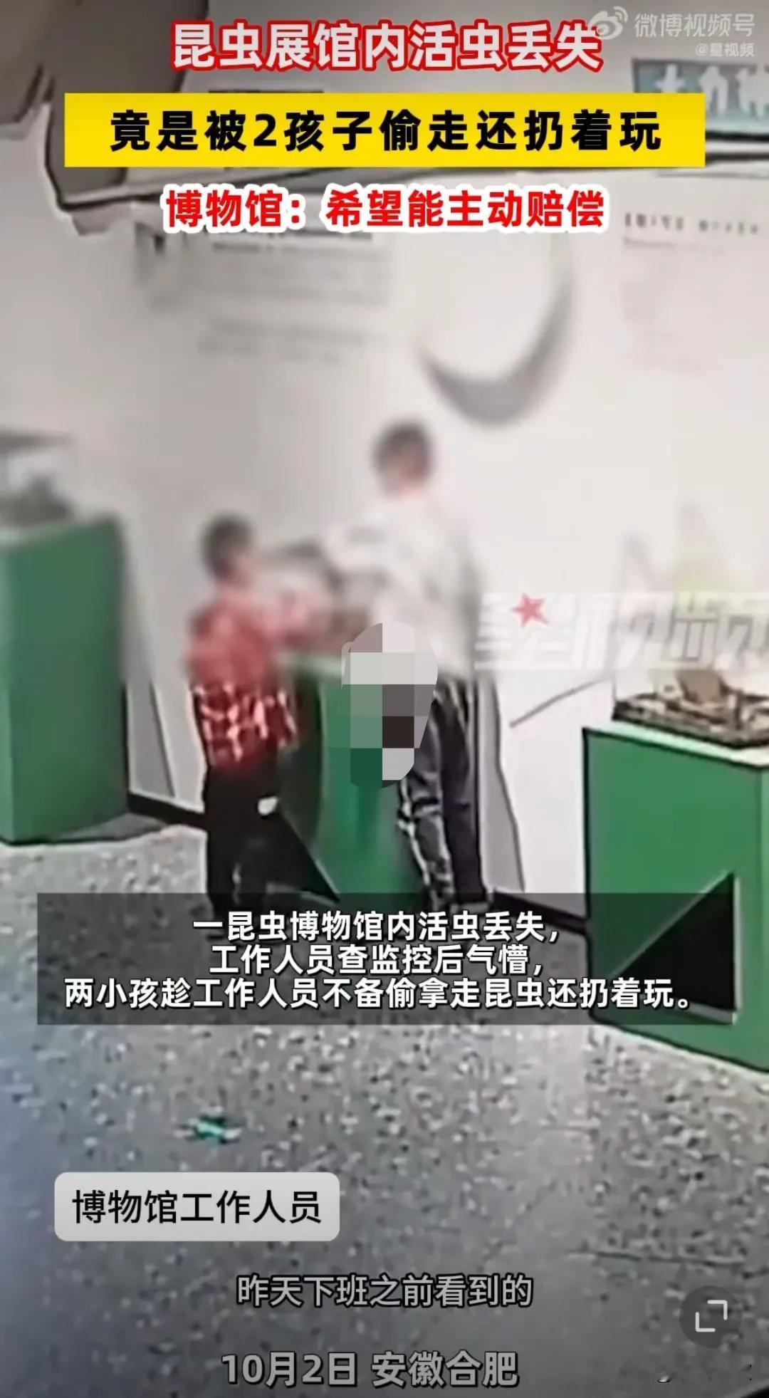 真的是太熊孩子了，10月2日安徽合肥，博物馆的昆虫竟然被两个孩子给偷走了，这真的