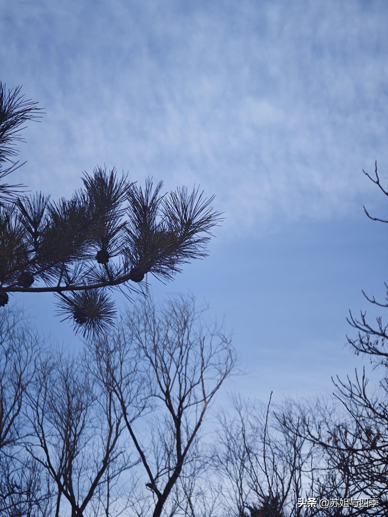 联通的手机微信不能给移动的充话费吗？今天早上出门，到地铁口发现手机没费停机了，兜