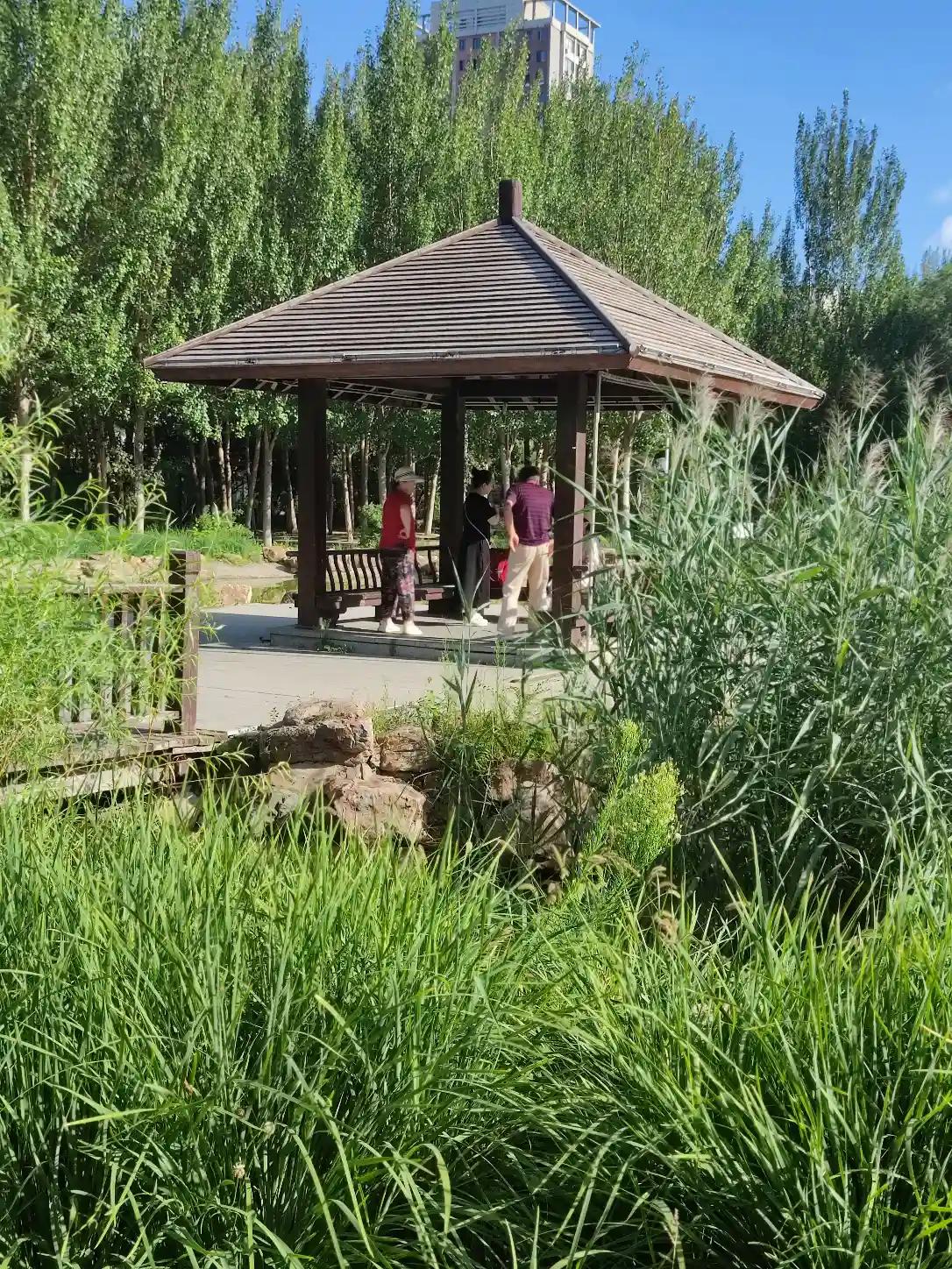 退休后是人生难得的休闲时光，生活方式多姿多彩，根据自身情况合理选择。