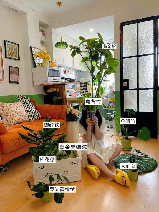 在北京的家养了10盆植物🌱好养程度红黑榜