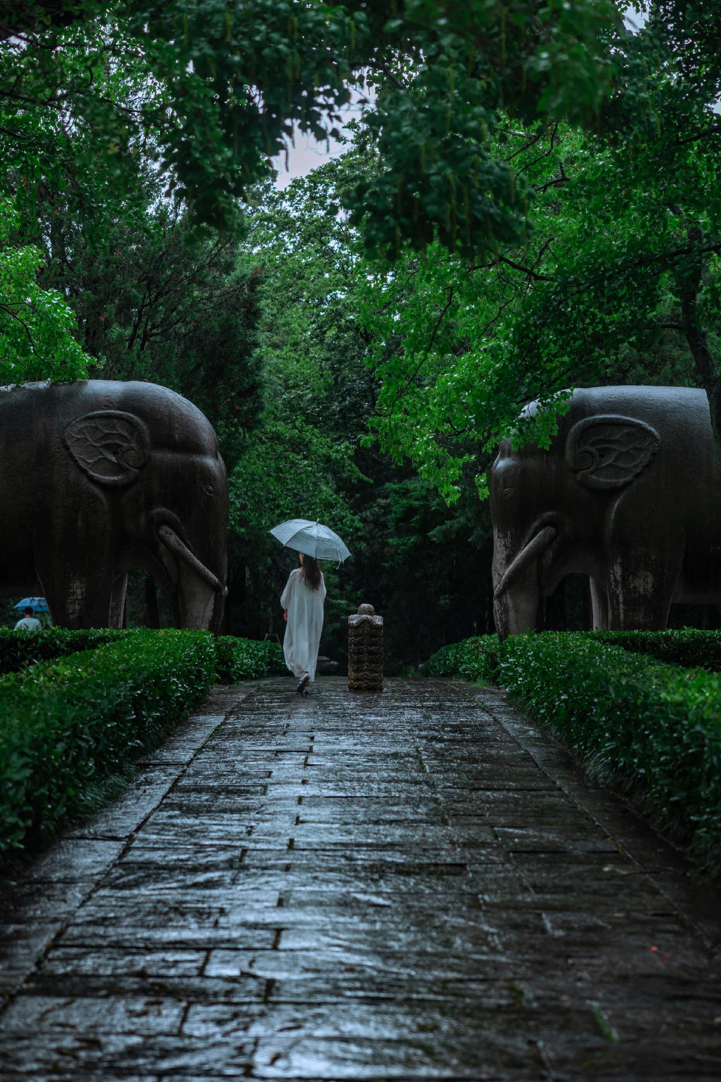 在南京的阴雨天 一定要去一趟石象路。雨天的石象路，没有了平日的喧闹，只...