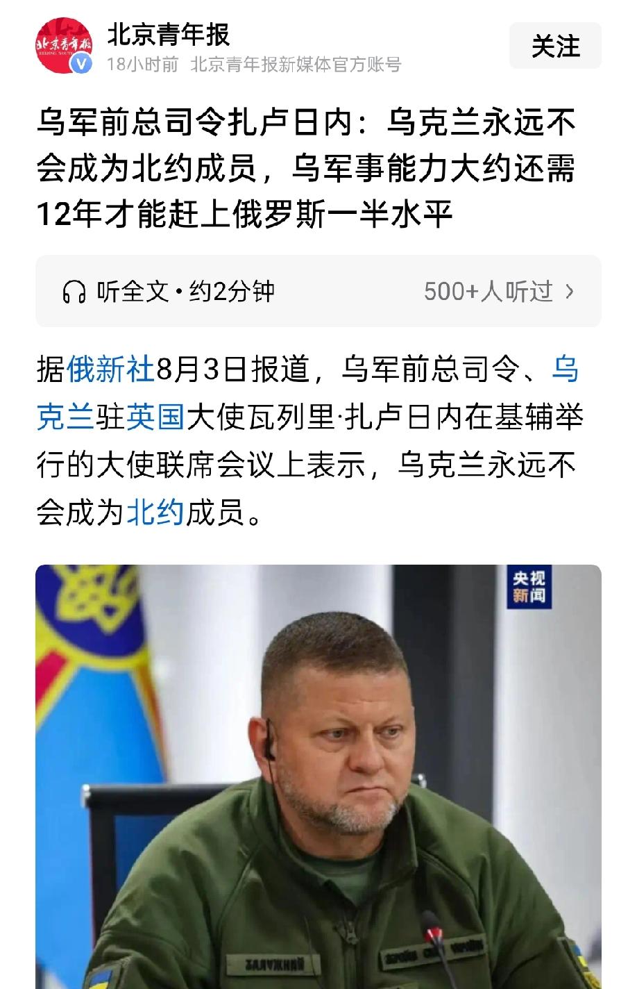 扎卢日内表示：乌克兰永远不会成为北约成员，要发展12年才能赶上俄罗斯一半的军事水
