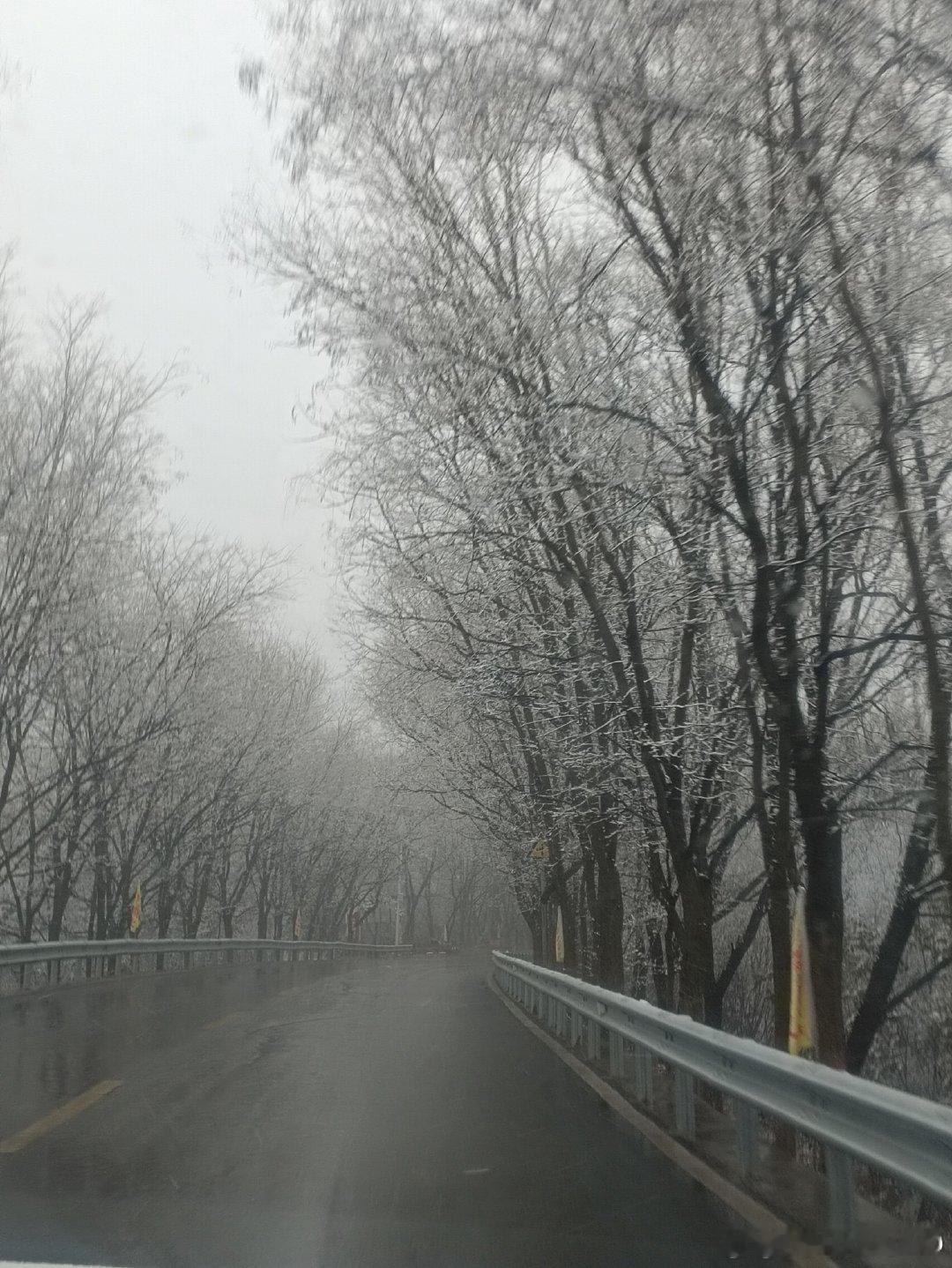 来动动吧～给大家看雪动动