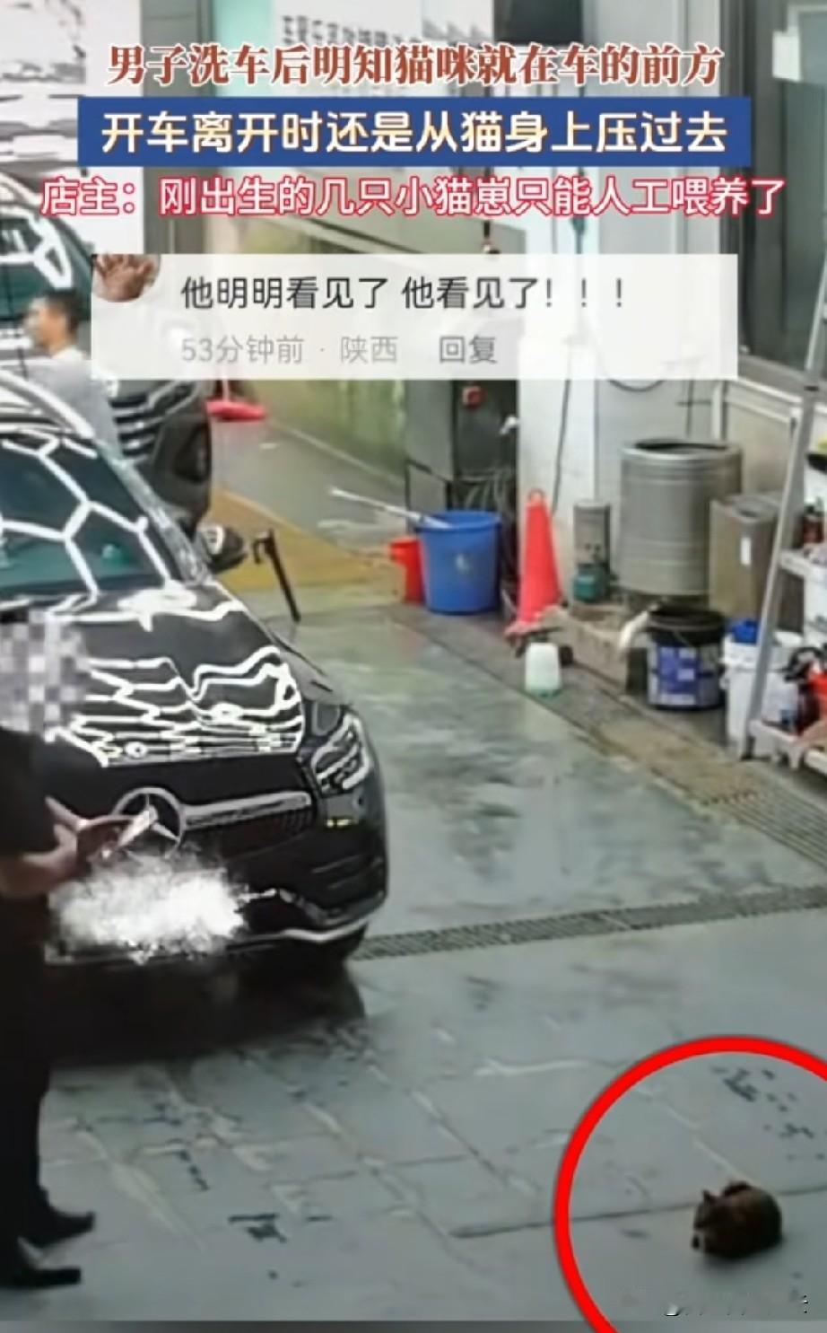 这个新闻看的让人气愤。广东，洗车男子明明看到了地上的猫妈妈，他却两次调整方向，故