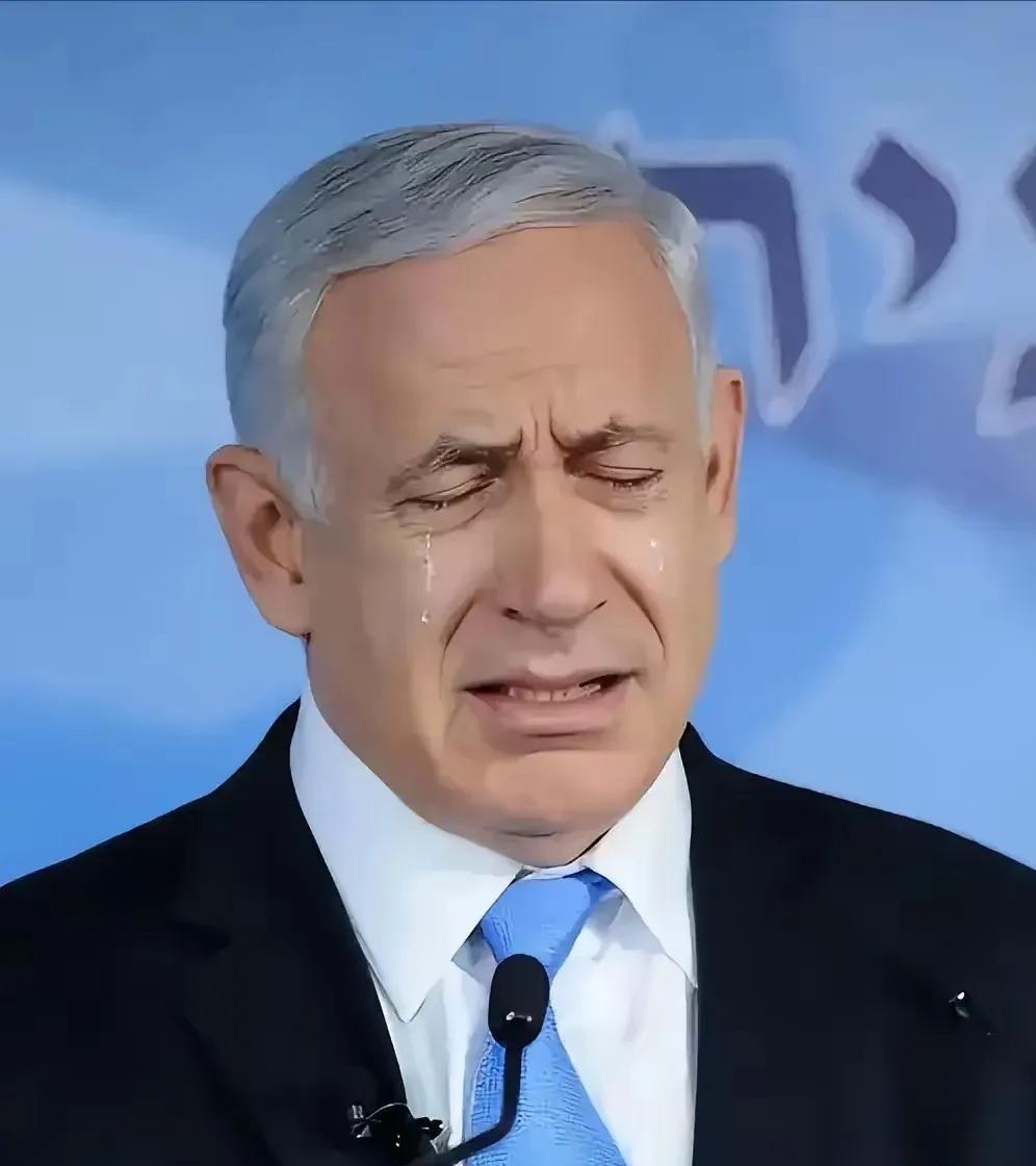 战场上占不到便宜，就跑到联合国装可怜、甩黑锅，内塔尼亚胡，别再演这种自欺欺人的戏