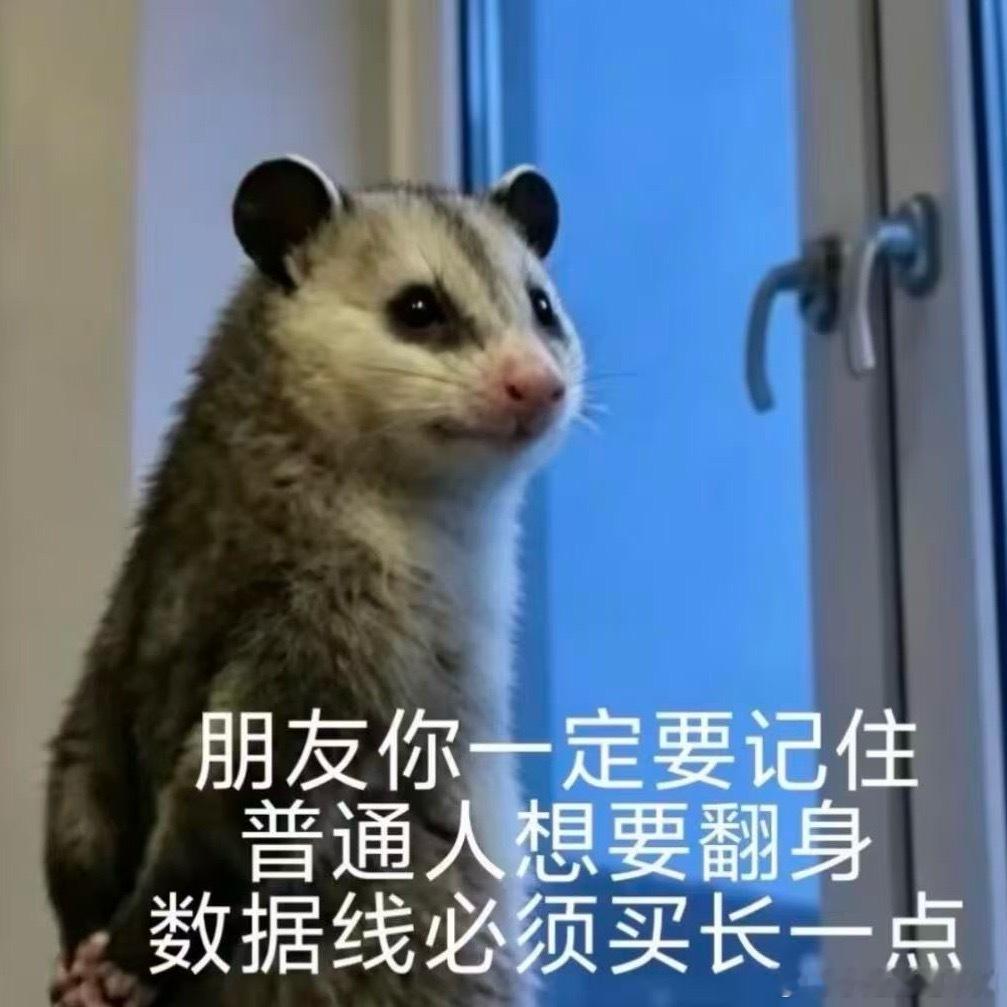 小软蛋们想知道如何翻身吗？我来教你们想翻身的话 就买个两米的数据线 我现在已经翻