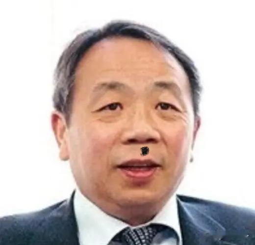 汉奸石平跳出来狂咬奥田，把中国善意的熊猫外交歪曲成胁迫，拼命跪舔高市早苗，尽显数