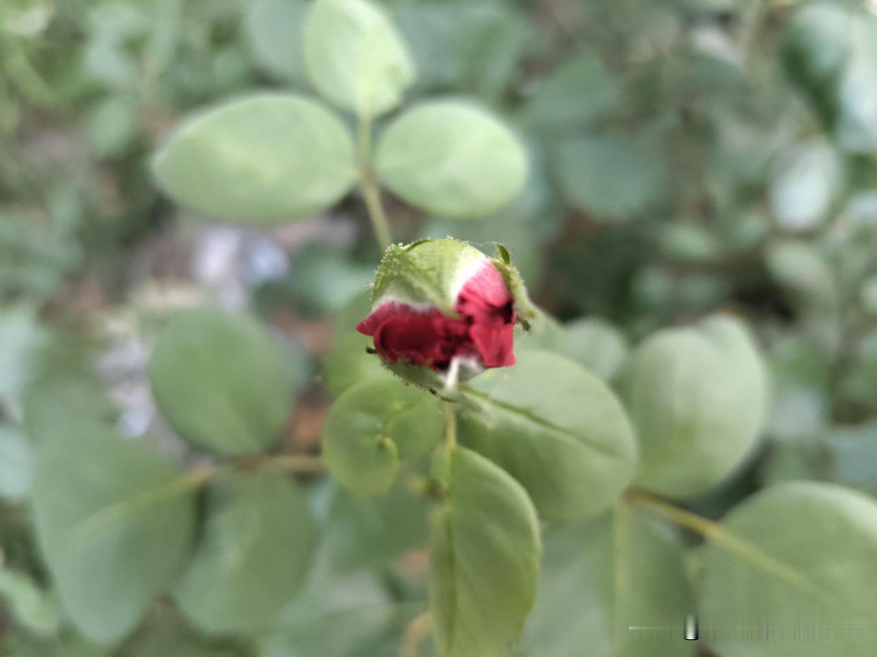 又是崭新的一天
一天好心情
闭口是福