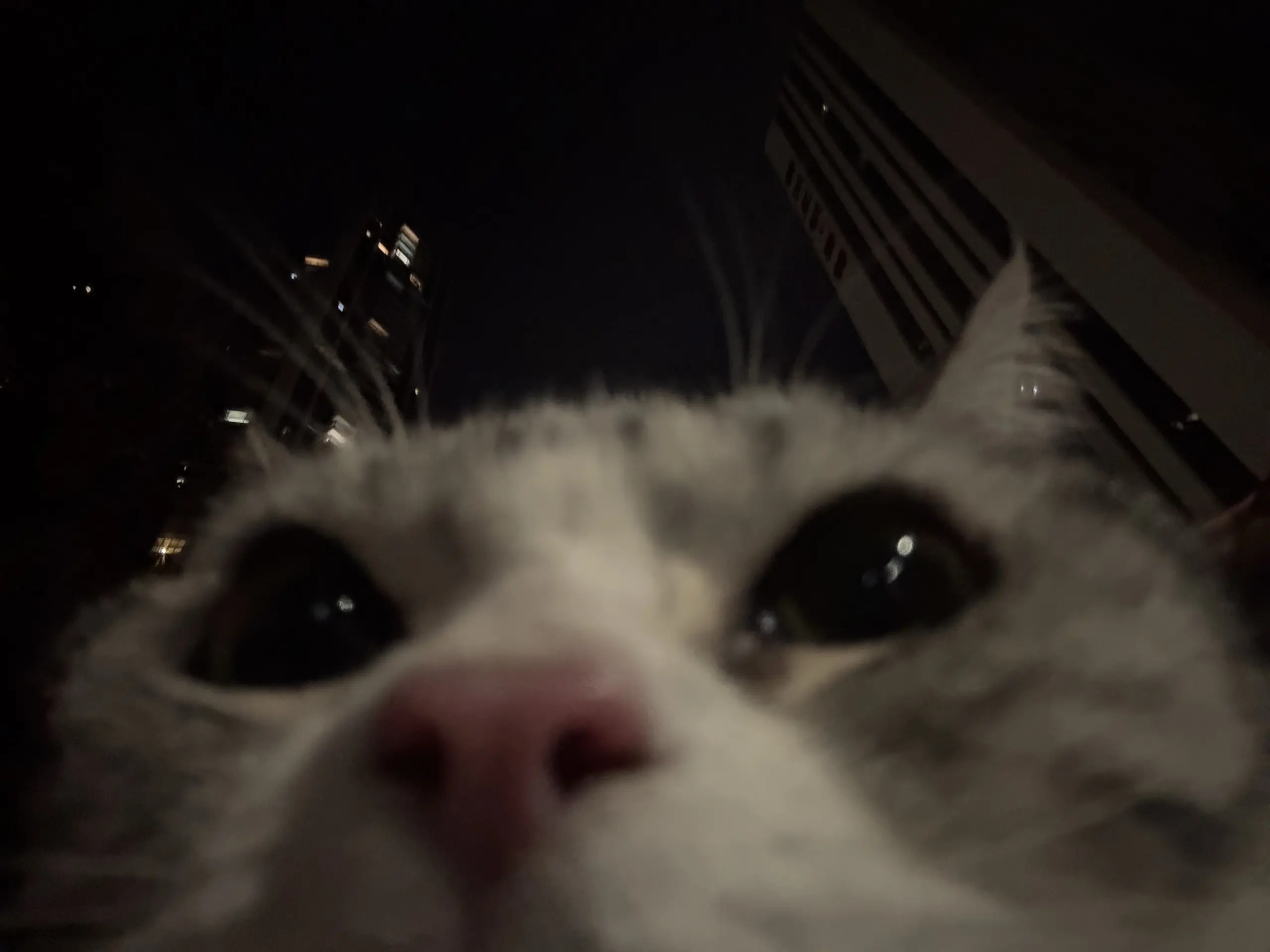咪的世界下雨了。