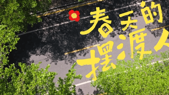 宠物医生修猫修狗的一天被一群毛茸茸包围的日常，大概是宠物医生独有的幸福吧🥺 软