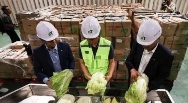 “中国要被我们拖垮了！”2024年，韩国上千人拒绝食用从中国进口的白菜，本想给中