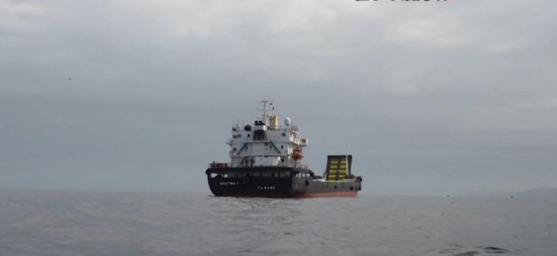 霍尔木兹海峡迎来大变局！伊朗首笔通行费入账，这条全球最重要能源航道不再免费通行