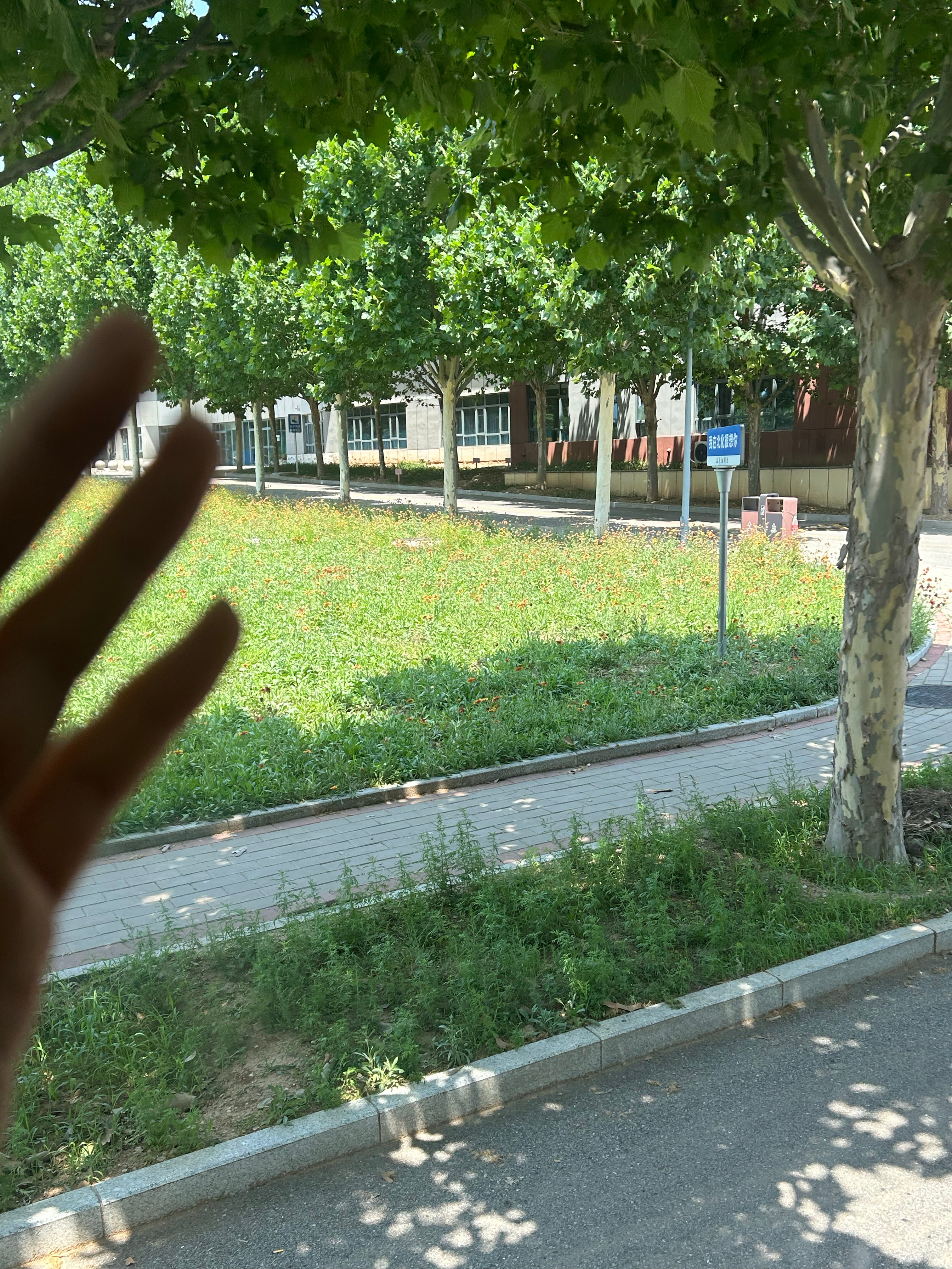 住了七年的学校 一切都再见啦👋 