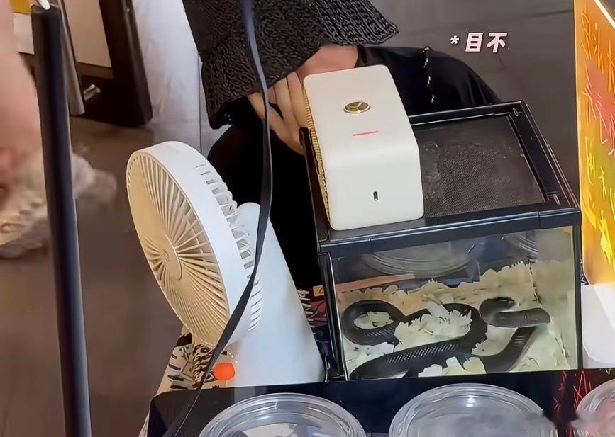 杨幂偶遇小黑蛇夜华你怎么知道我刚重温完三生三世十里桃花？以前觉得夜华白浅好配，现