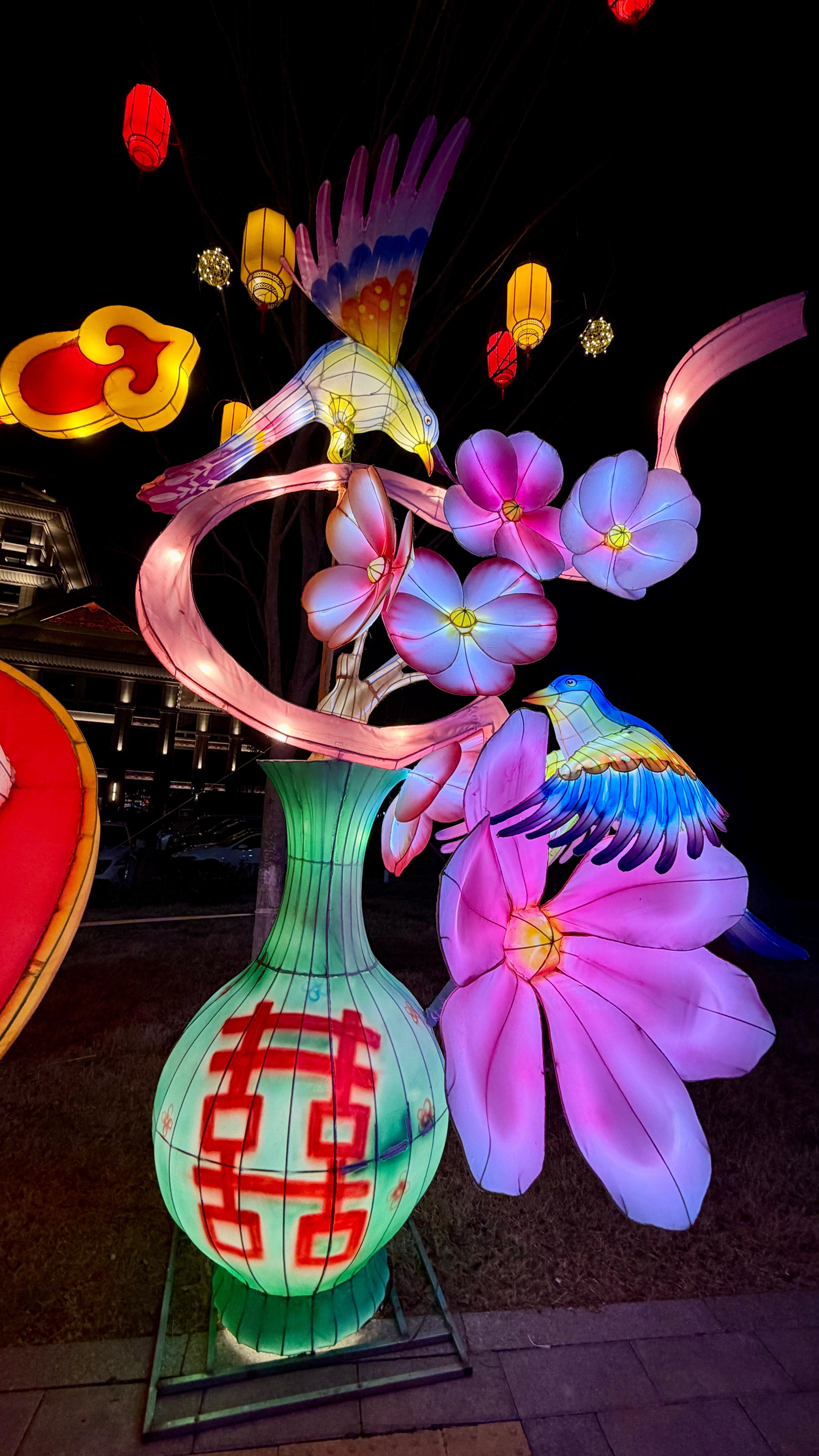 🏮感受一下灯会🏮巧遇一场灯会！感受一下安徽的节日氛围！春节克总随感节日氛围 