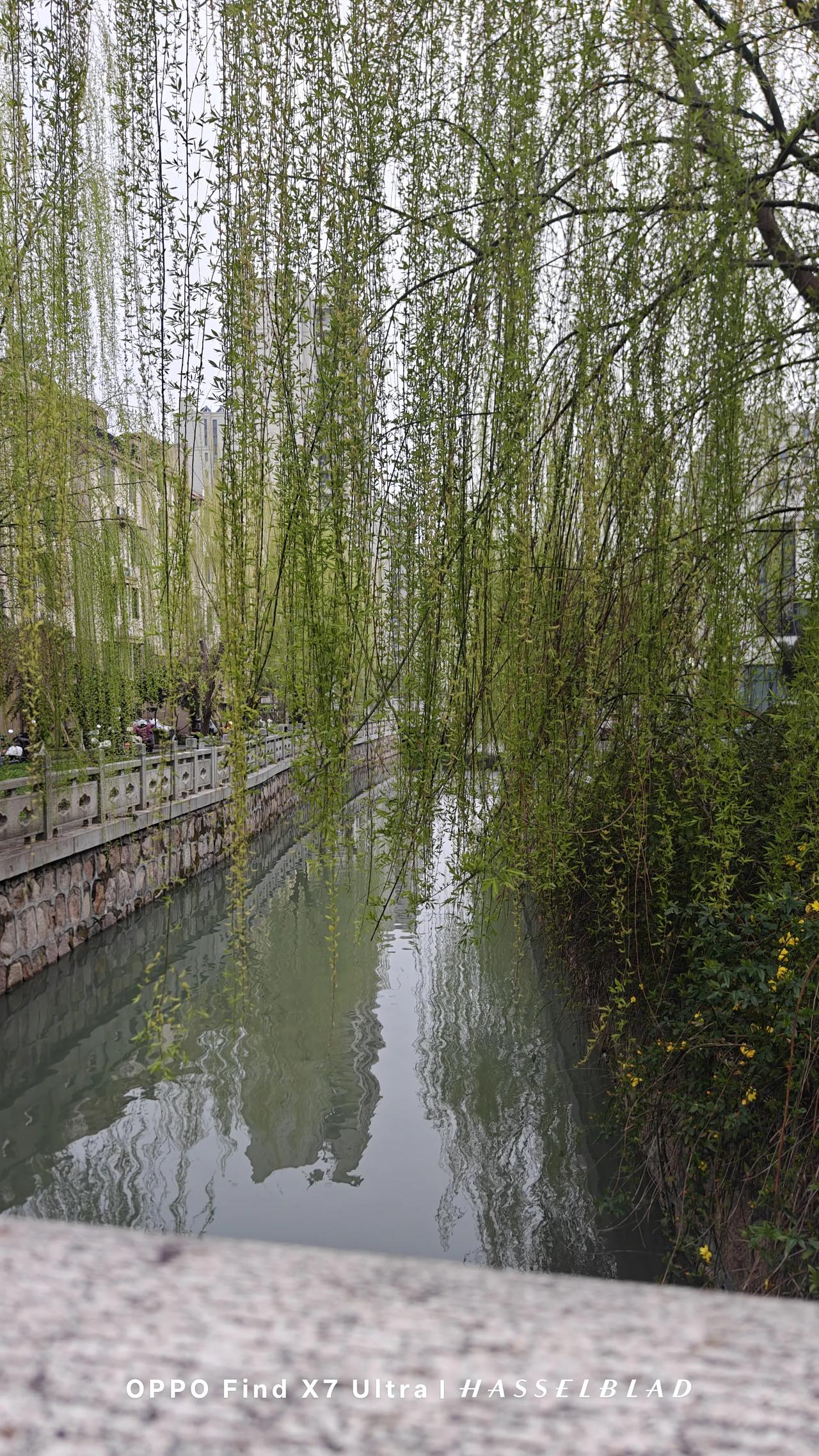 婆媳斗。

婆媳争斗最没意思。

兰兰无比沮丧，她现在成了儿媳的眼中钉，儿媳也是