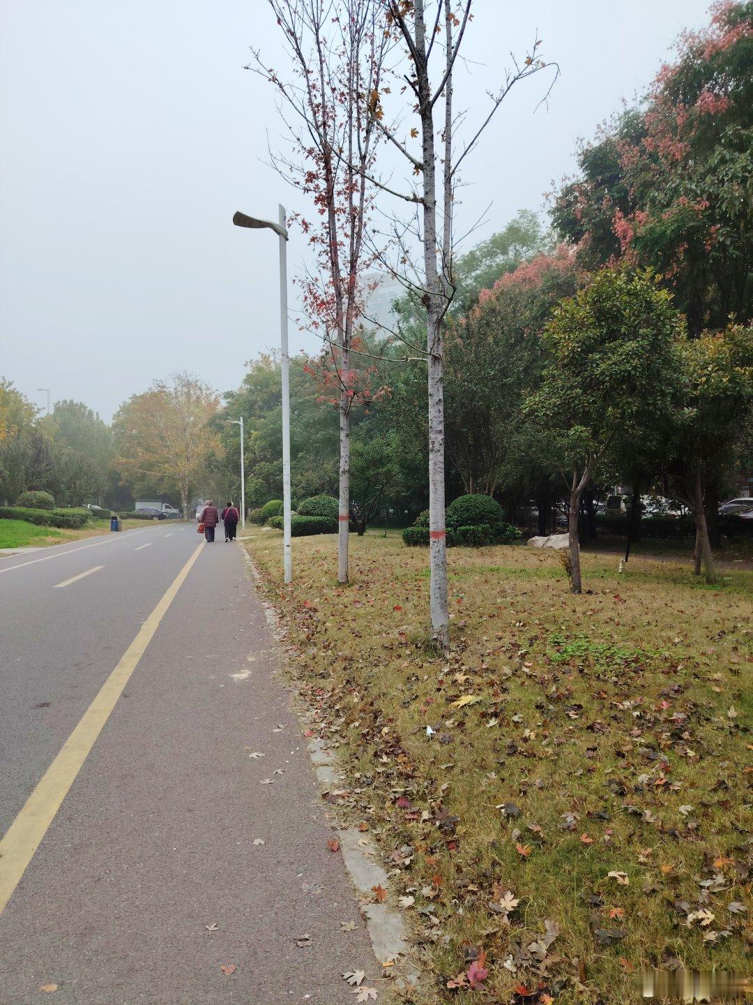 人生苦难重重，关键是看你跟谁比。昨天听到赵宗瑞老师说的一段话，特别对。“你看，光