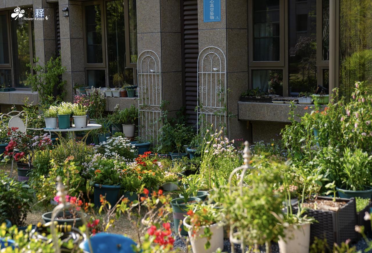 不要接触烂人，不要介入破事，安心养花才是硬道理
养花人不需要社交，又没有做业务，