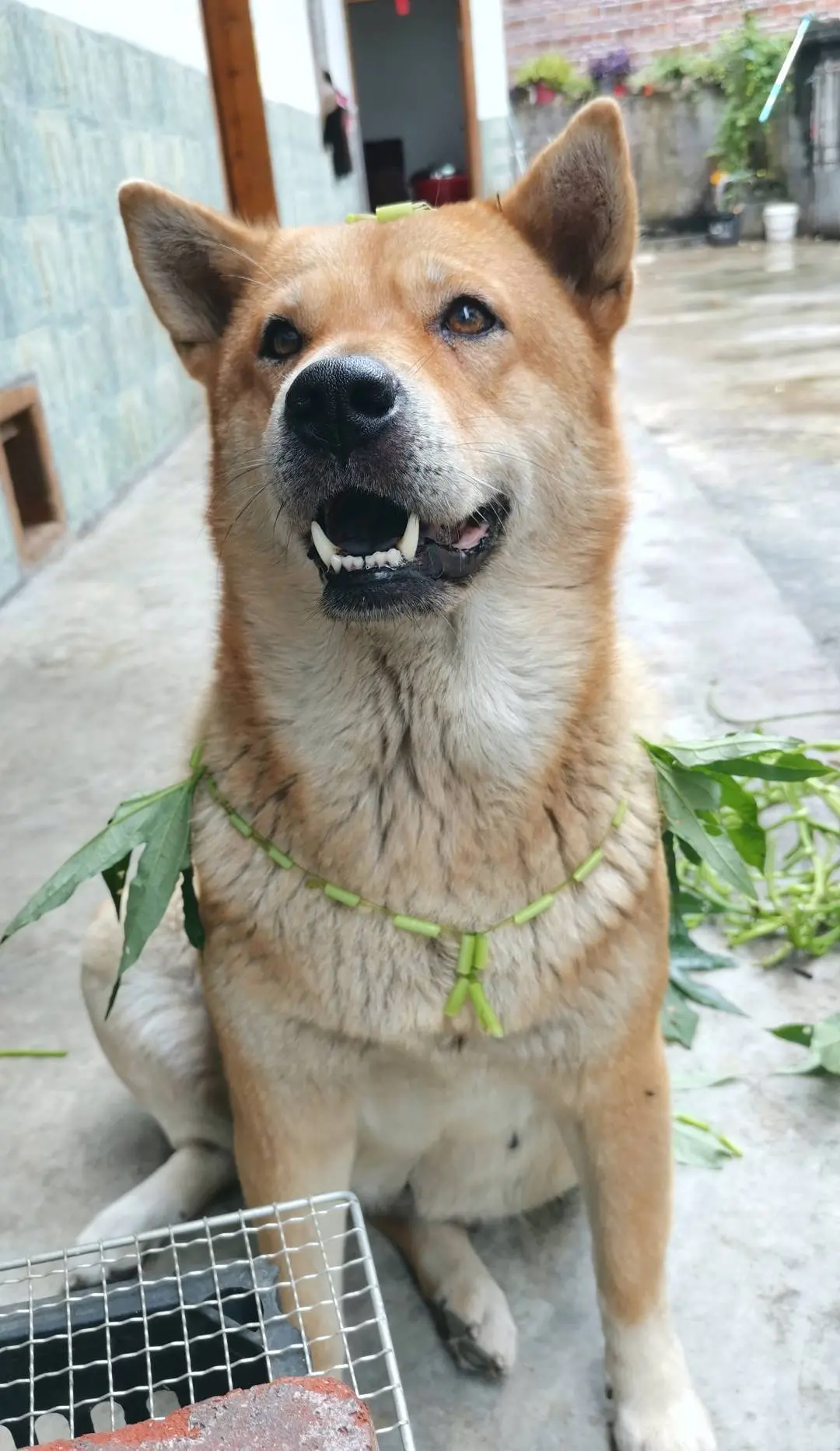 开心时刻