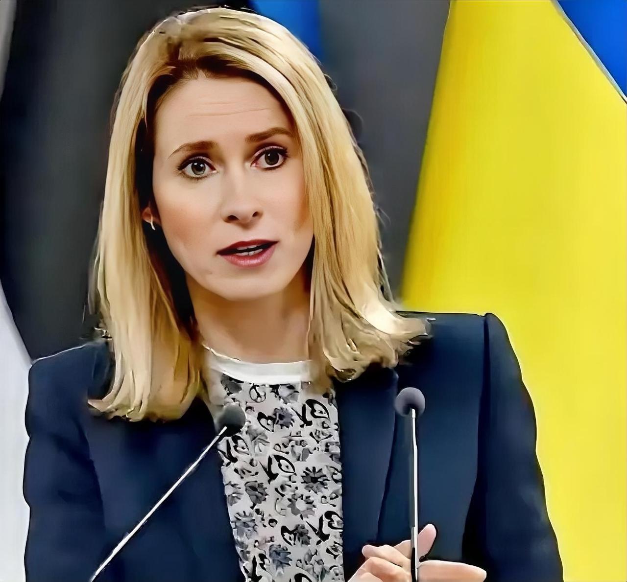 卡拉斯选择性质问伊朗，欧盟双标玩到底，这番操作只剩自取其辱！
 
卡拉斯选择性“