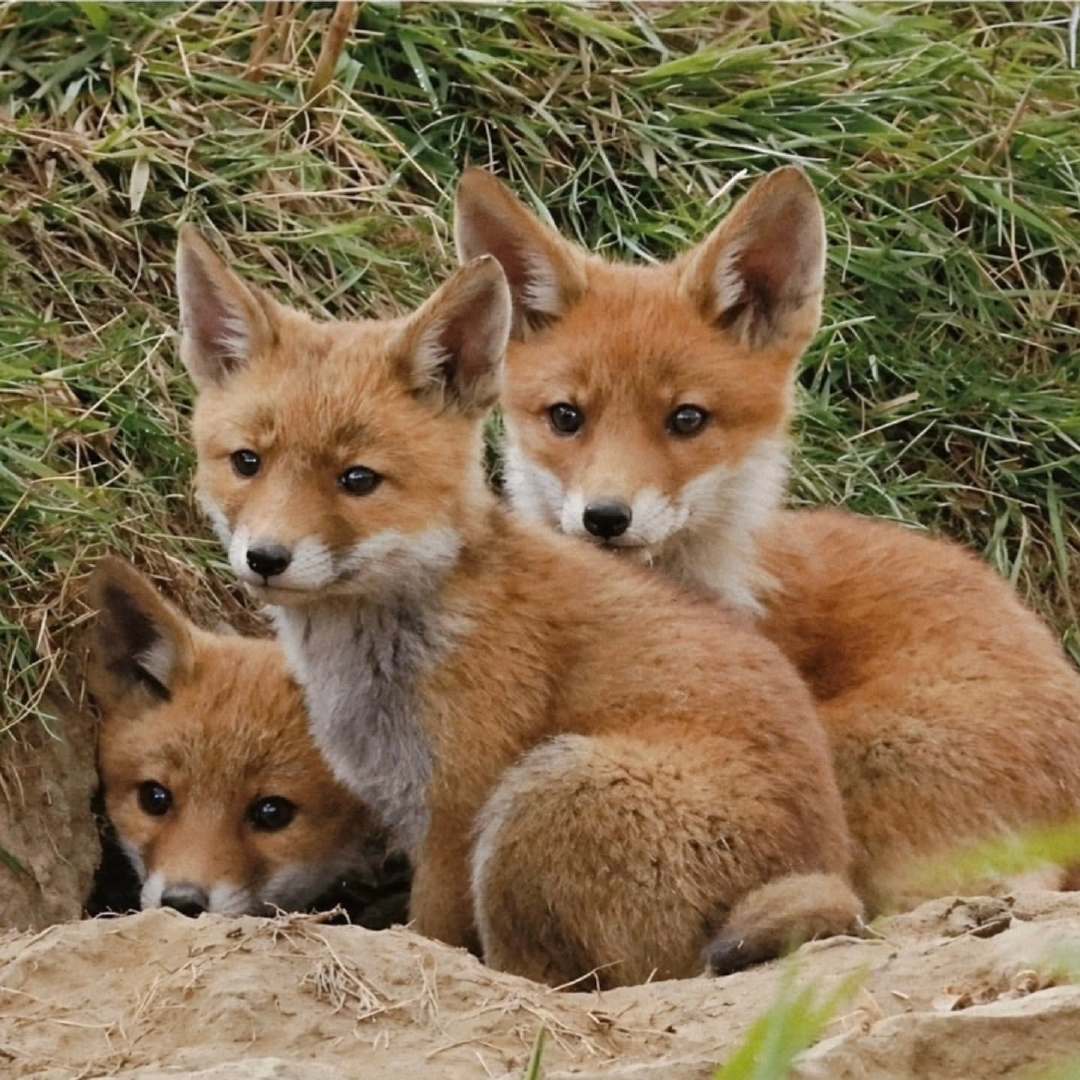 那个人举着大炮好可怕摄影师Elmar Bierwirth 