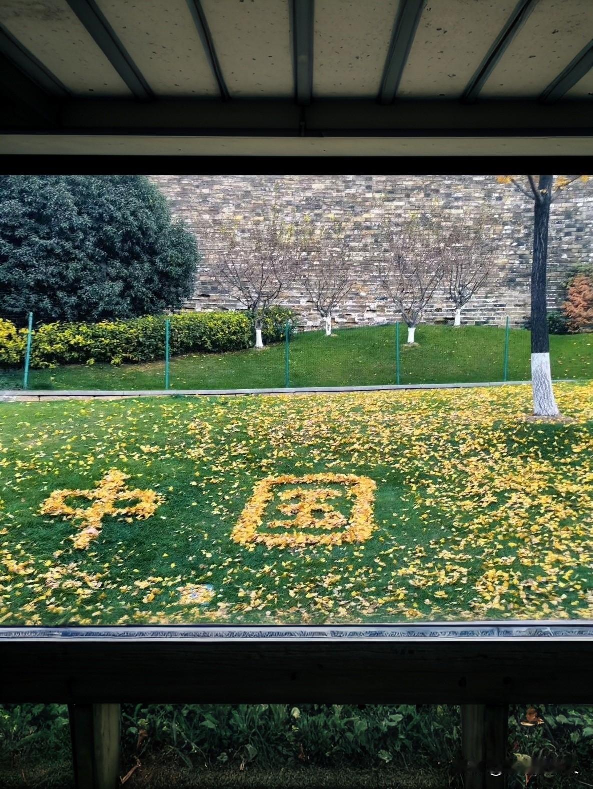  
这下暖哭了！南京玄武湖的保洁爷爷，把扫落叶变成了‘送礼物’……
南京玄武门城