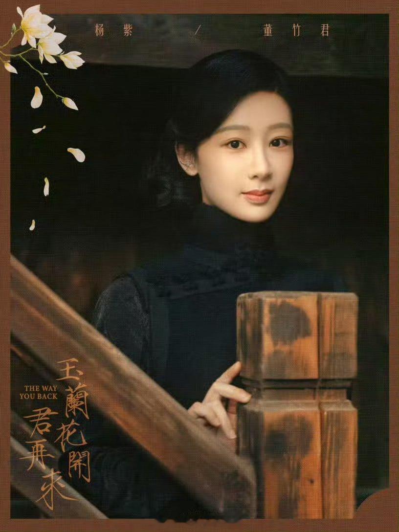 业内对杨紫《玉兰花开君再来》的预期 
