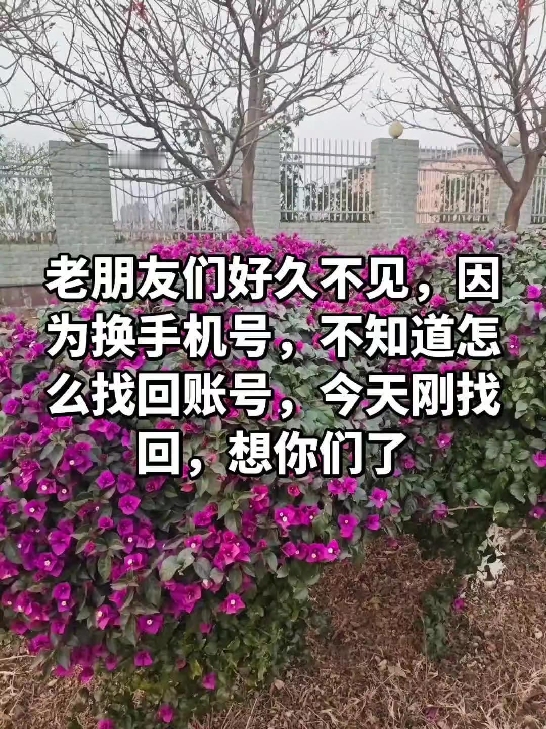 绿植 花卉绿植 我的乡村生活