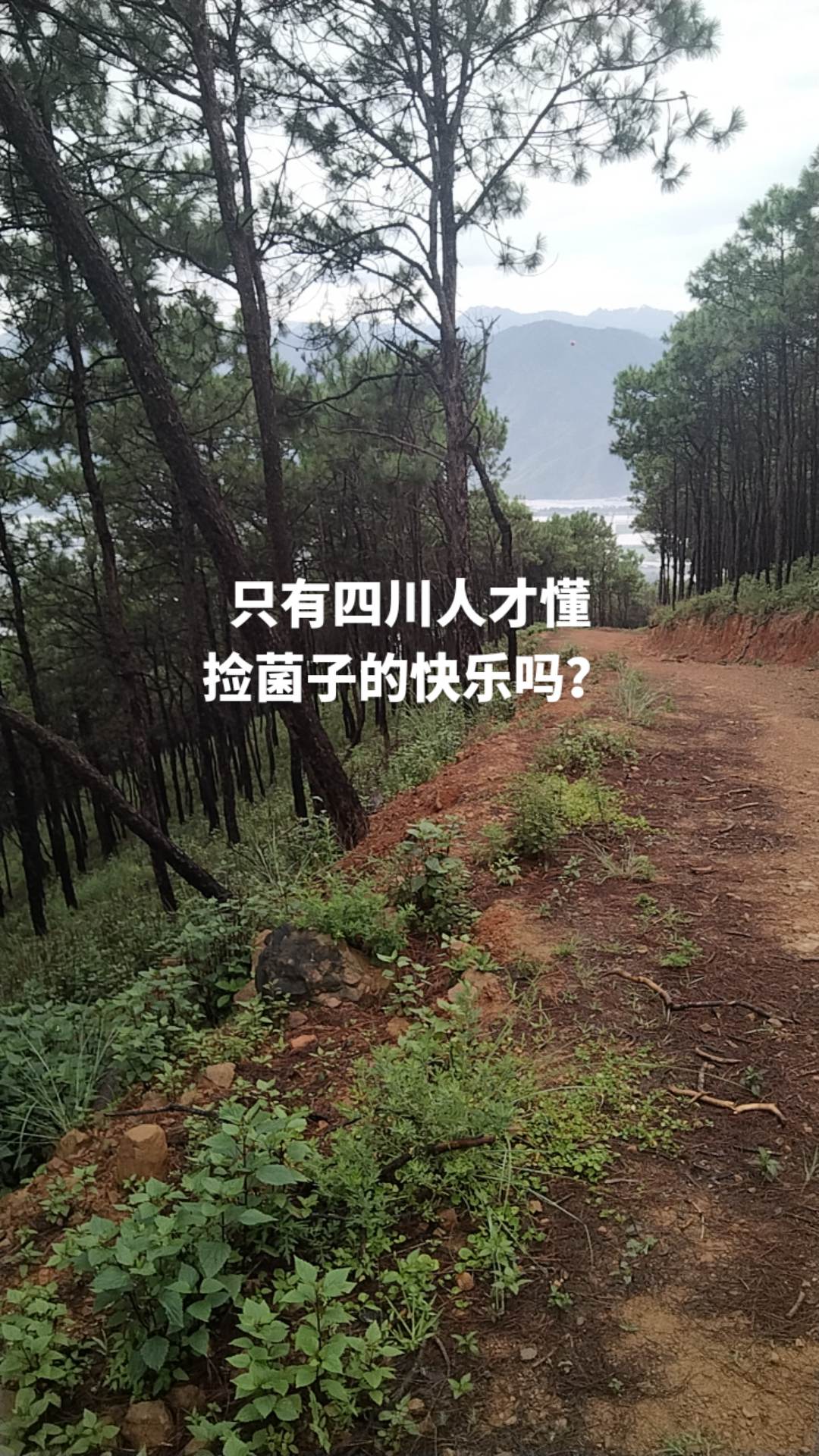 呼吸新鲜空气 真实户外