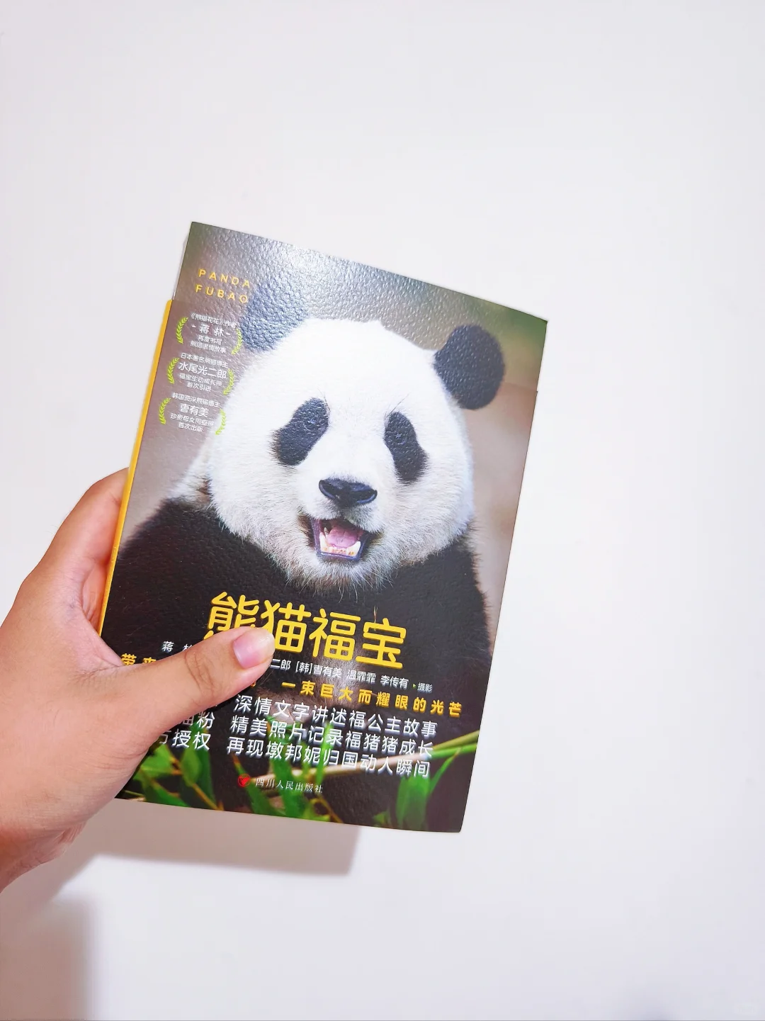 Hi，福宝！